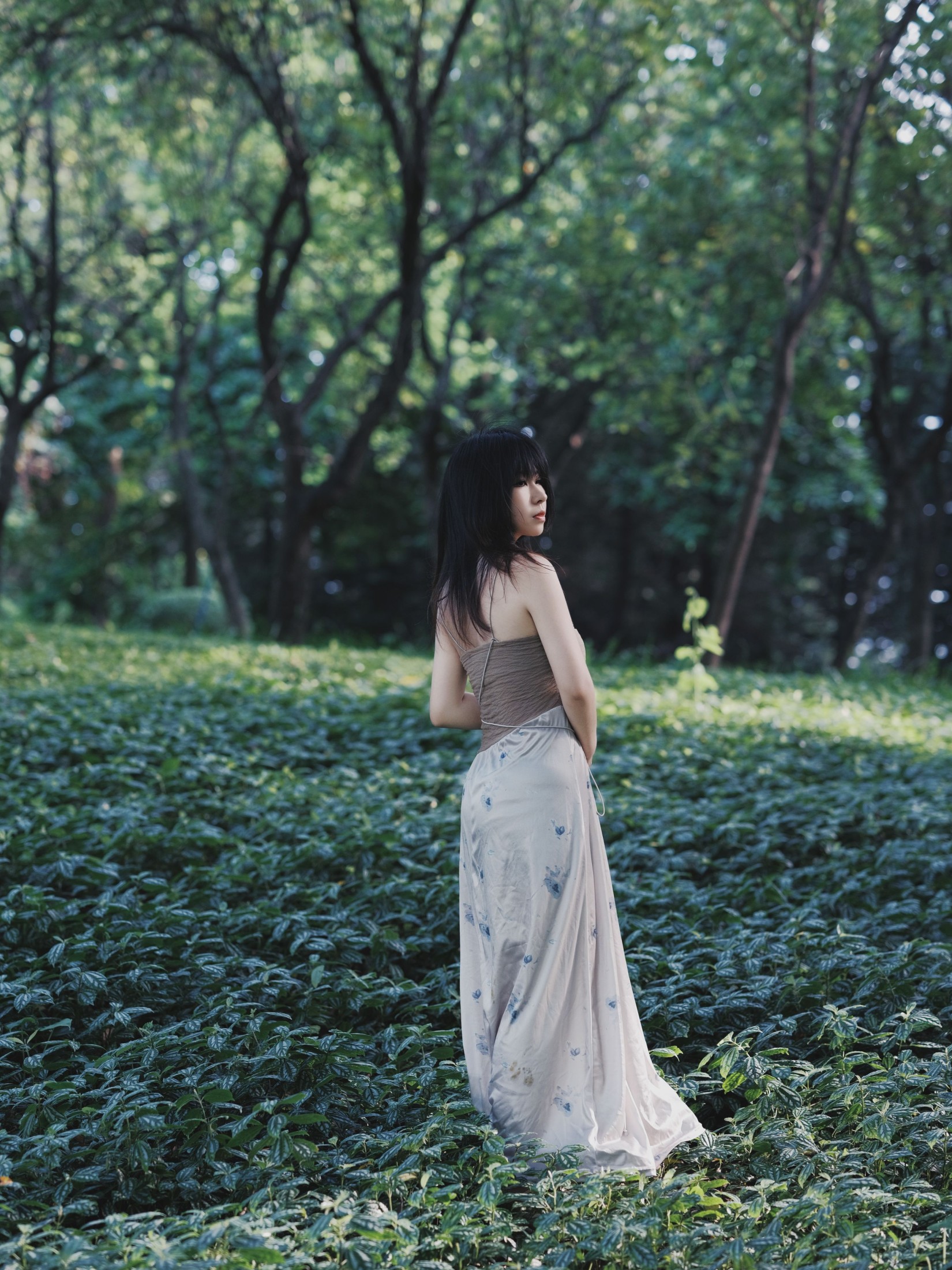 小田 – 《夏之森》[42P]