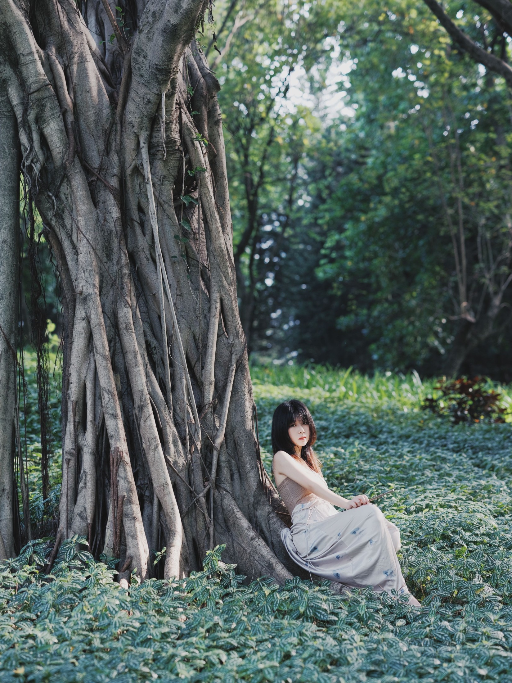 小田 – 《夏之森》[42P]