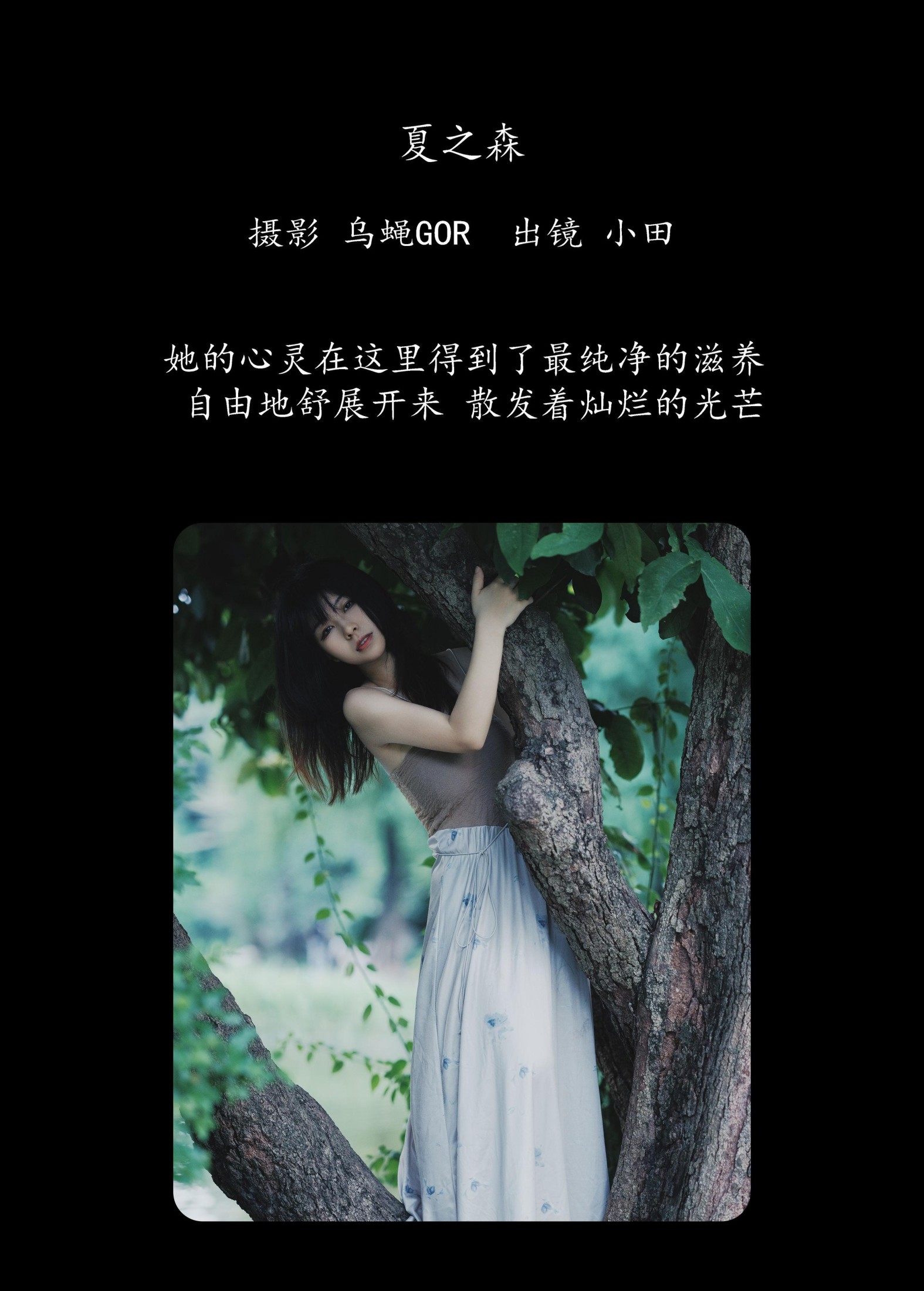 小田 – 《夏之森》[42P]