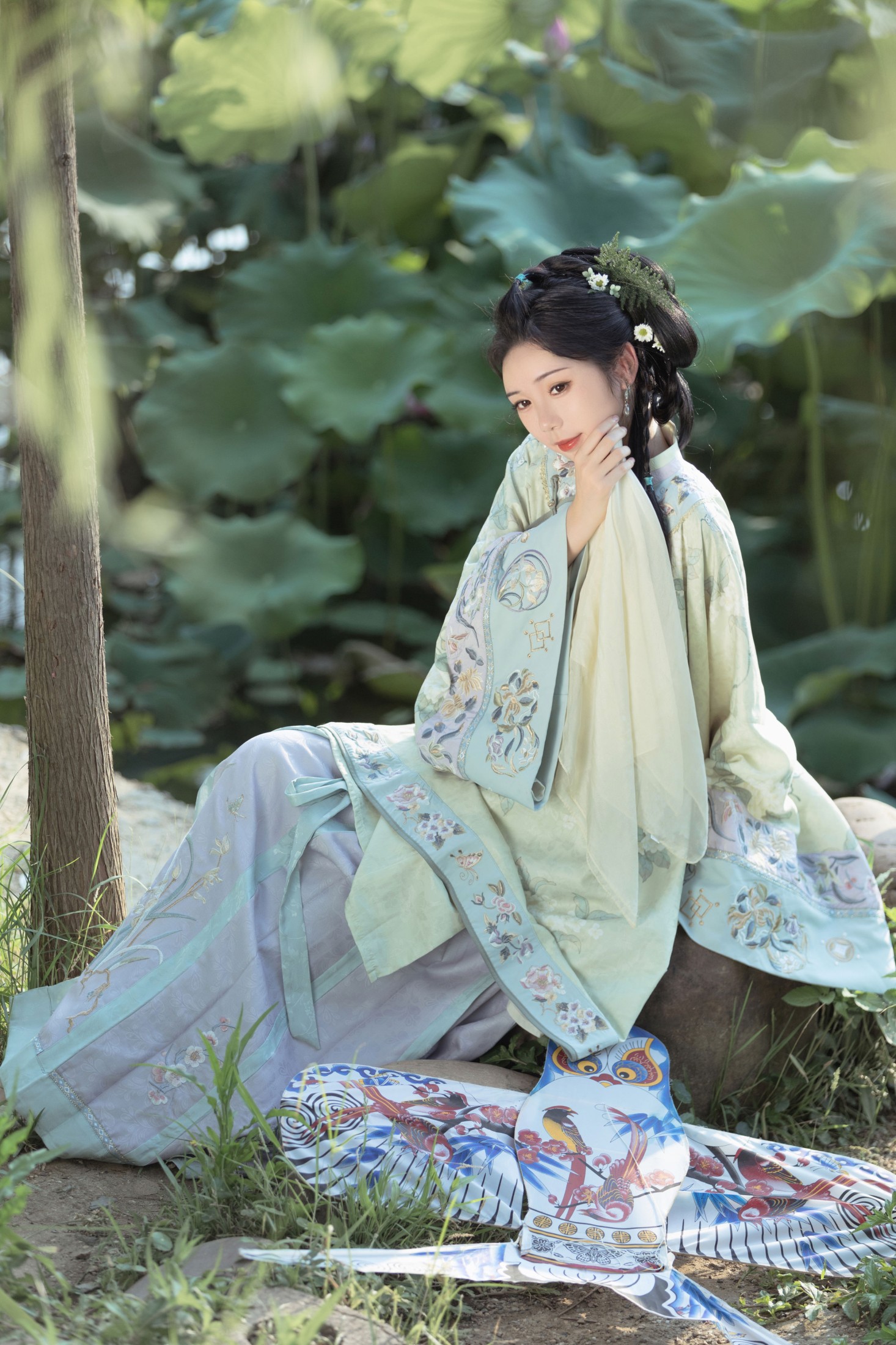 槐枝- – 《菡萏》[36P]