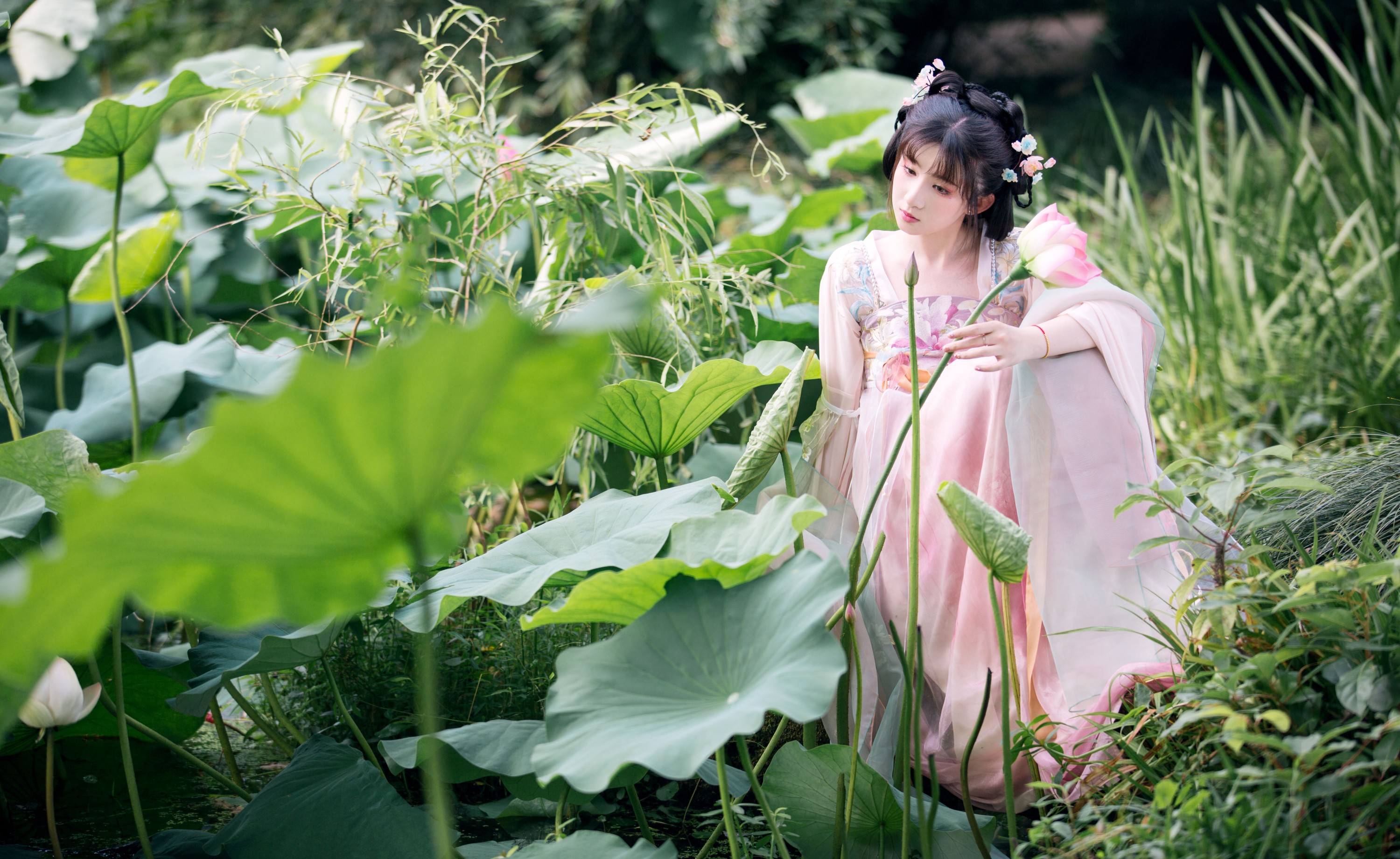 Lionnn_ – 《荷塘》[28P]