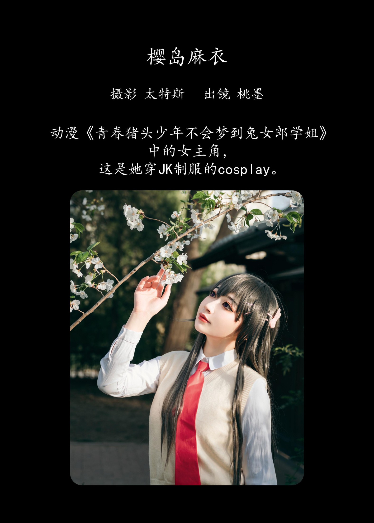 桃墨公子x – 《樱岛麻衣》[25P]