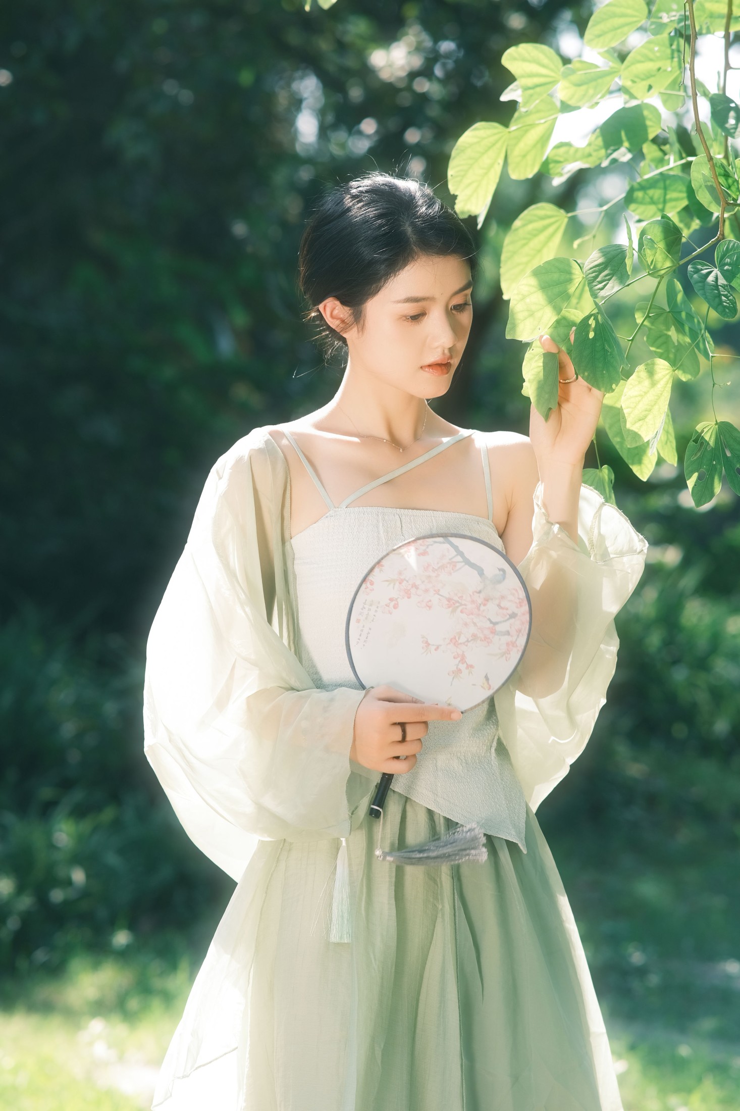 小谢 – 《草木青》[23P]