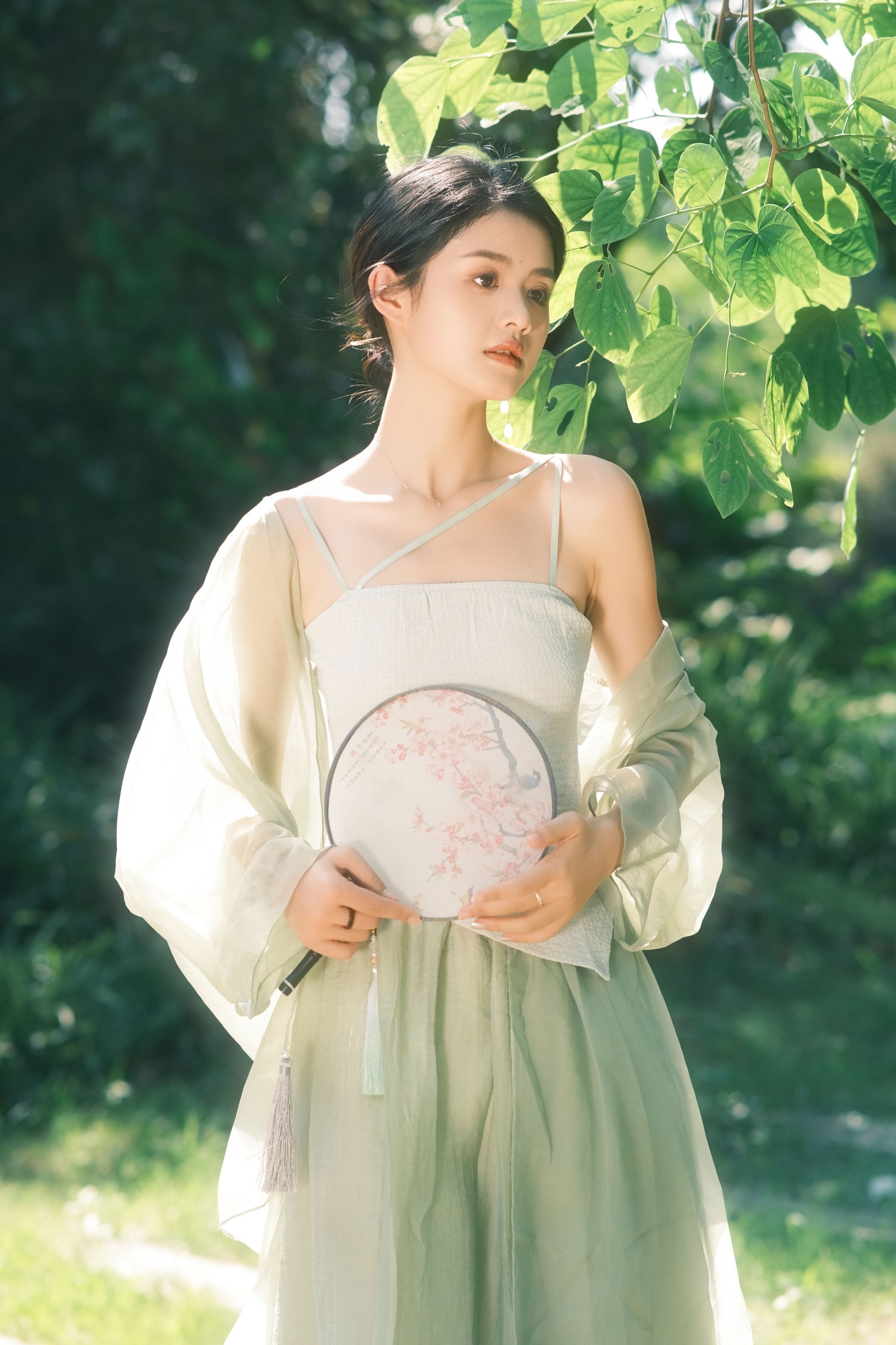 小谢 – 《草木青》[23P]