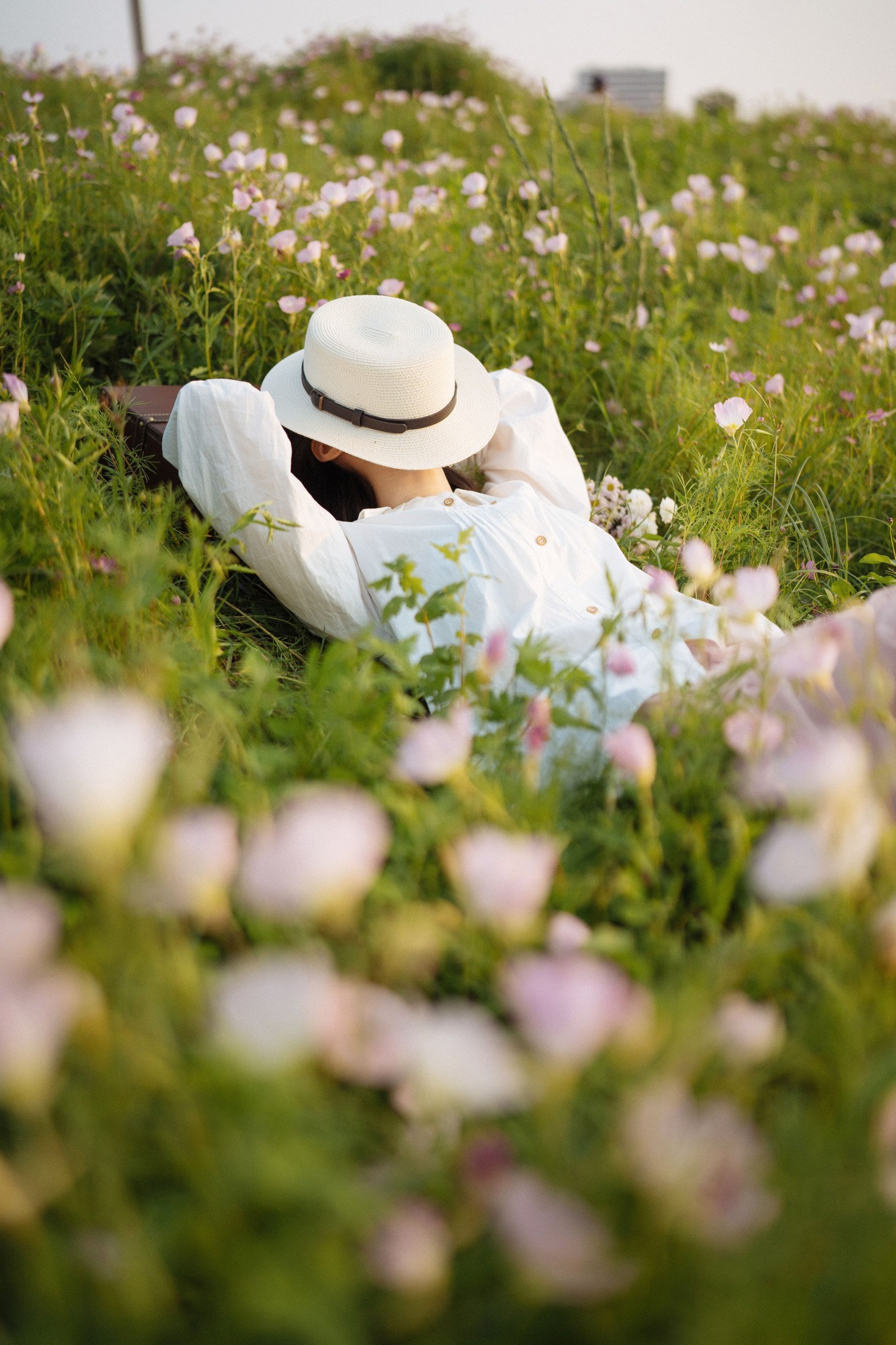 龙猫不是猫 – 《仲夏》[24P]