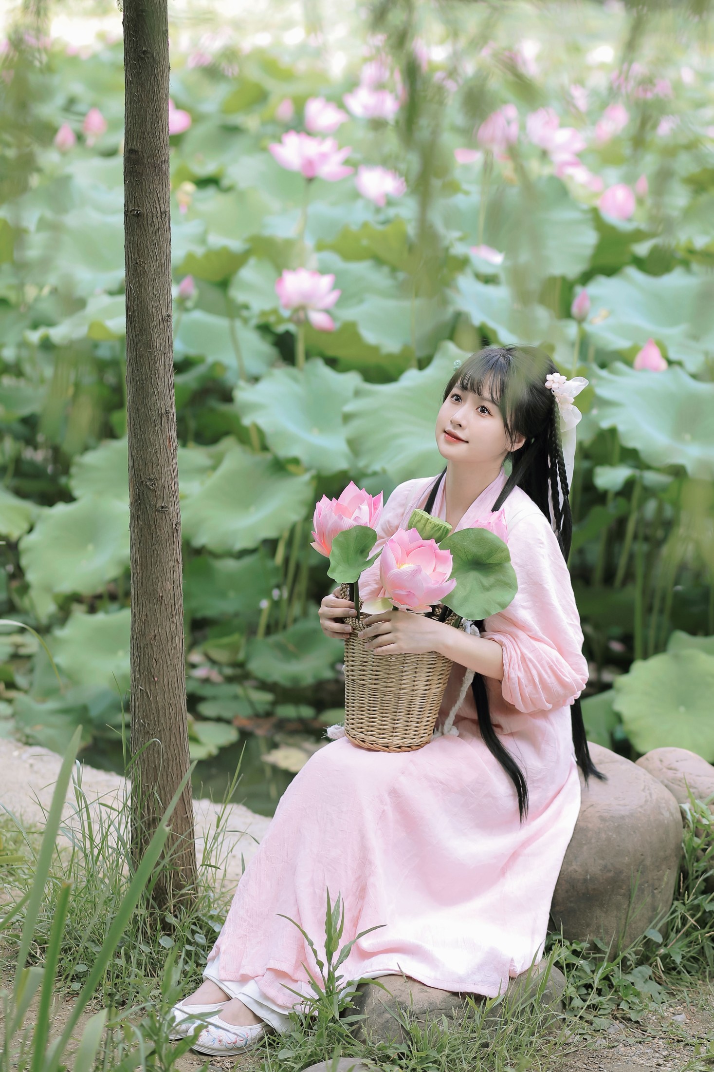 酒酿圆子 – 《夏荷》[37P]