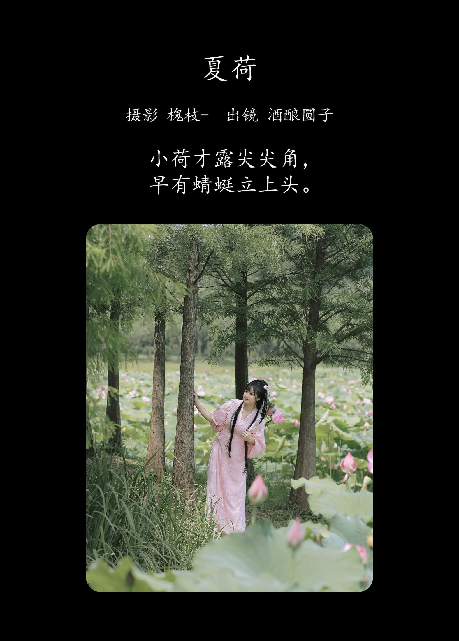 酒酿圆子 – 《夏荷》[37P]