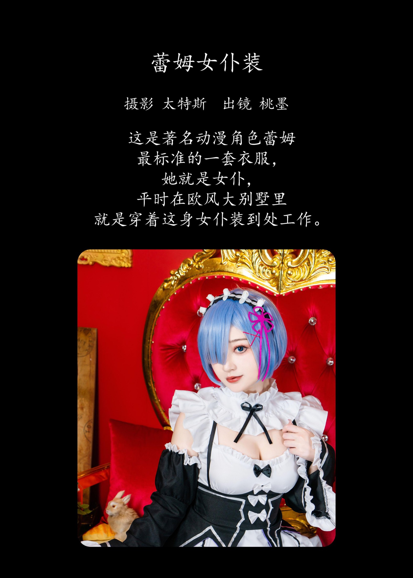 桃墨公子x – 《蕾姆女仆装》[24P]