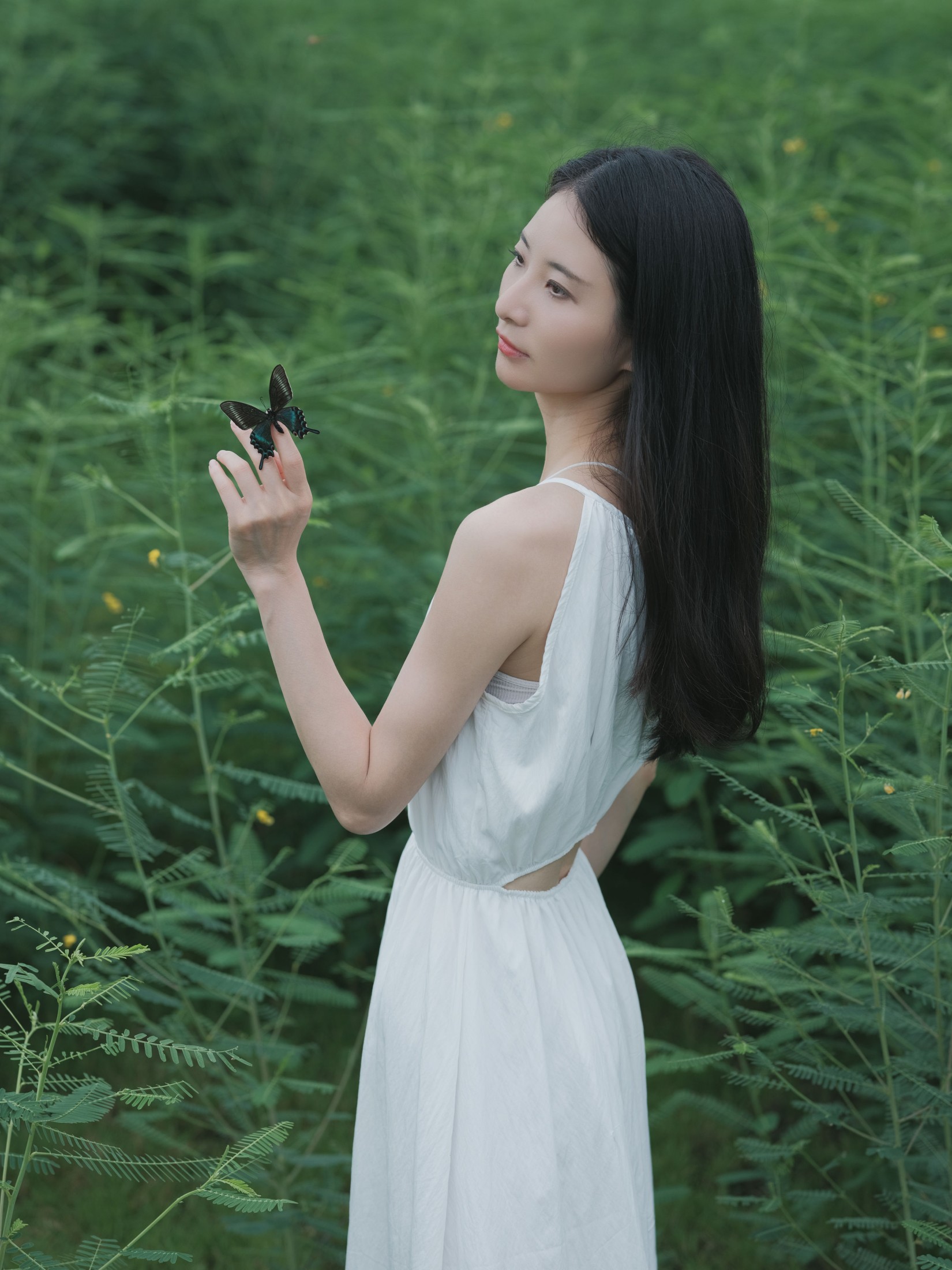 小昭 – 《花床少女》[40P]