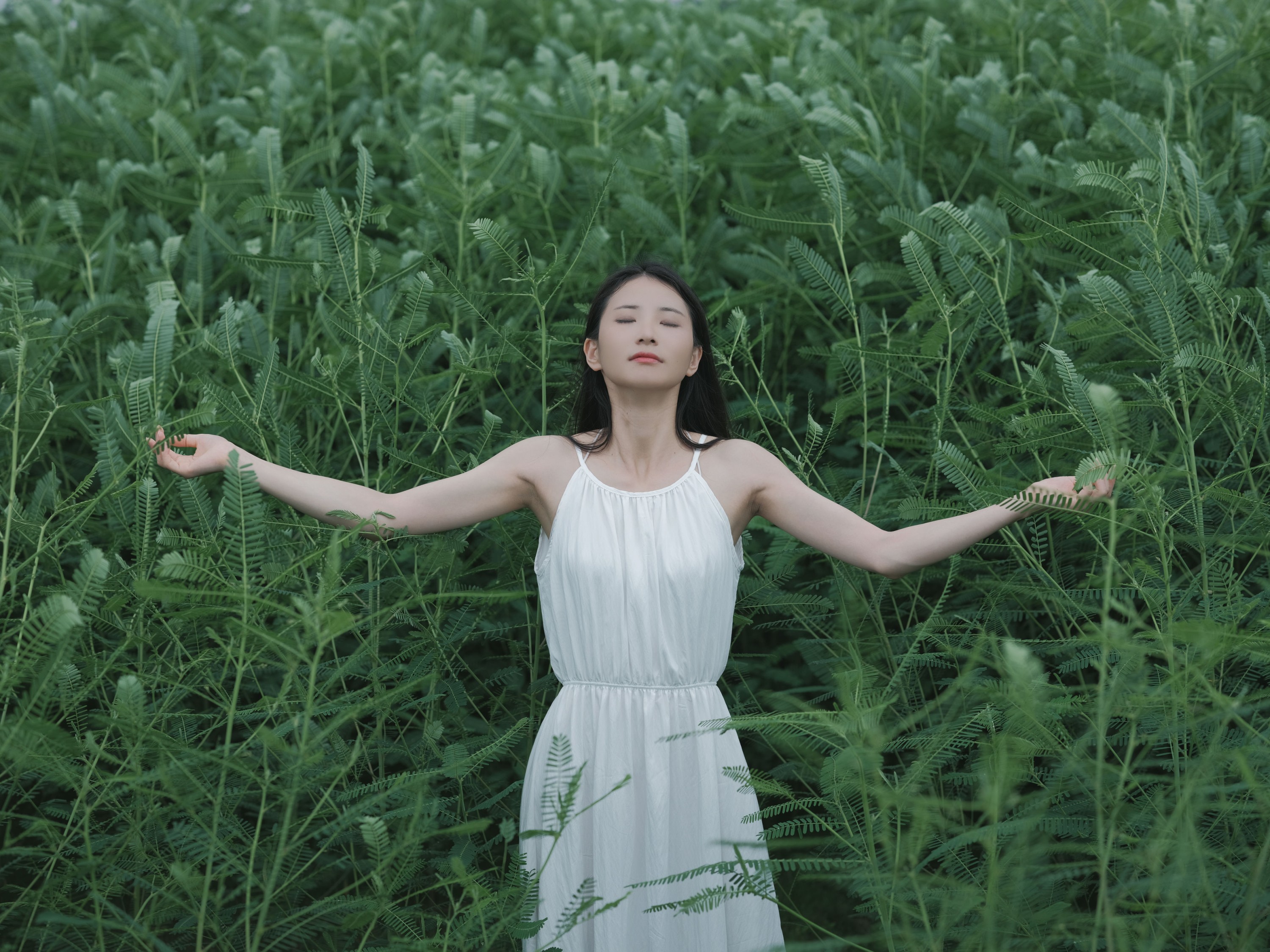 小昭 – 《花床少女》[40P]