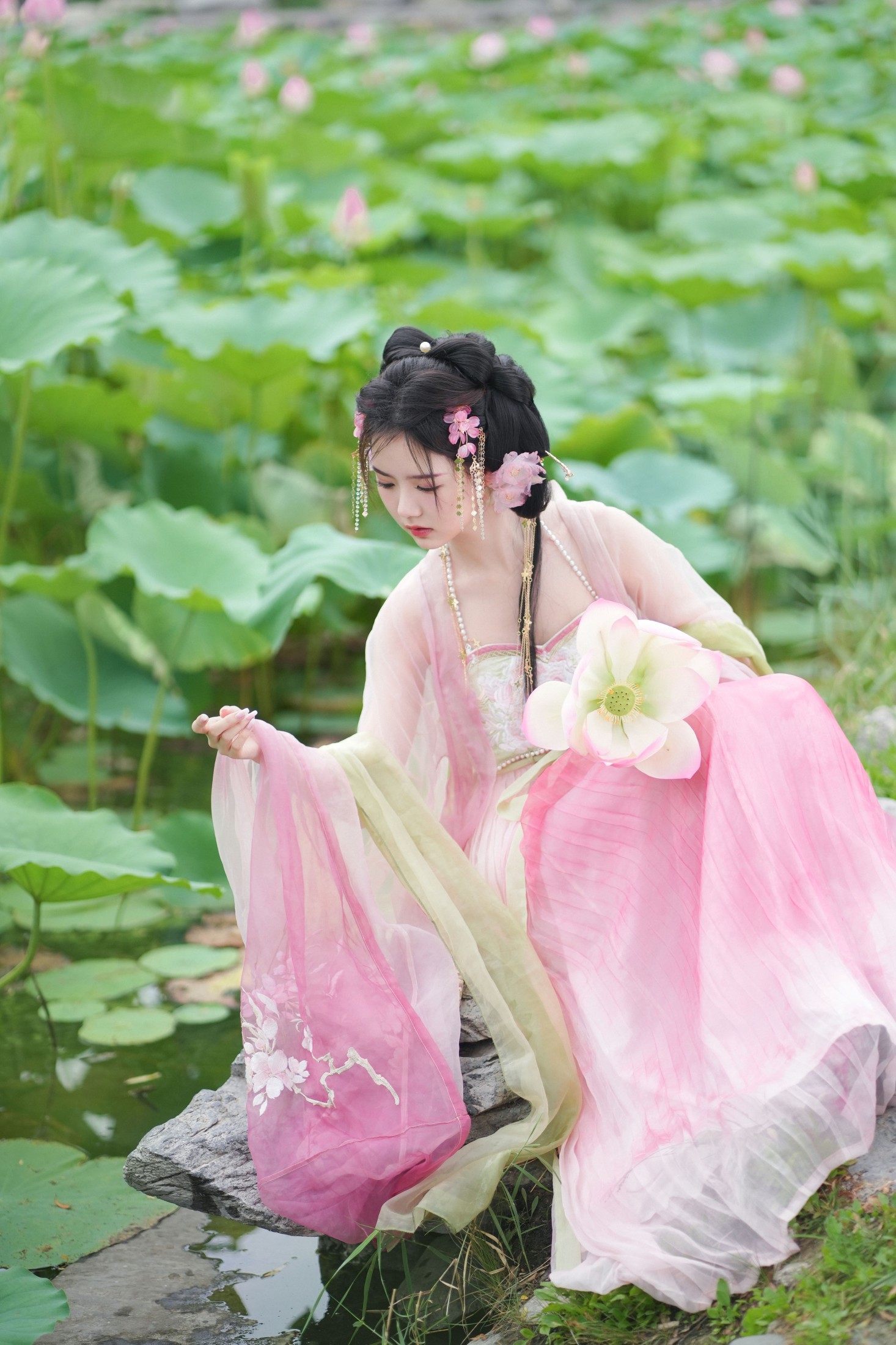 是鱼干啊～ – 《误入藕花深处》[30P]