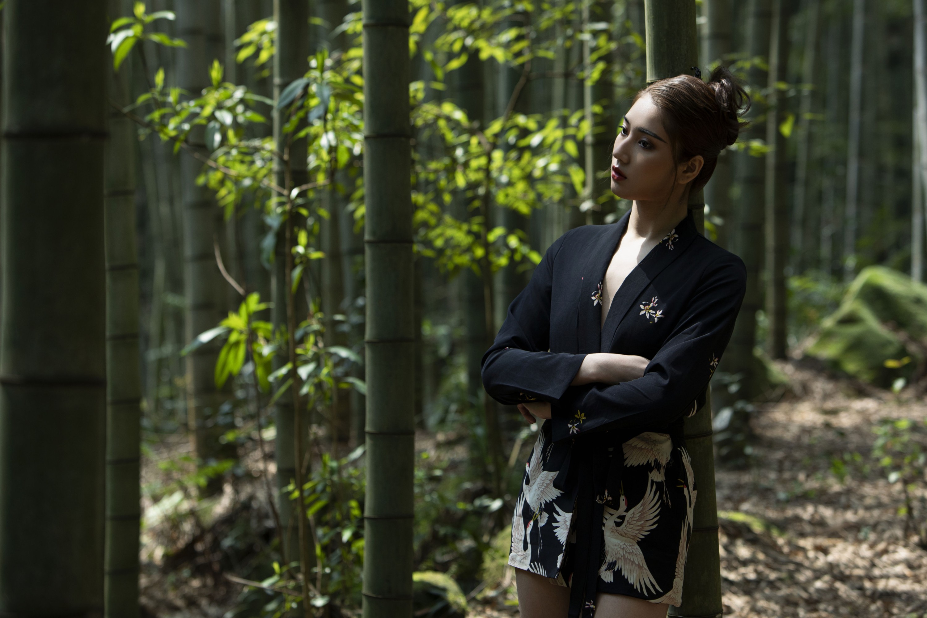 林猫儿 – 《竹林深处》[30P]