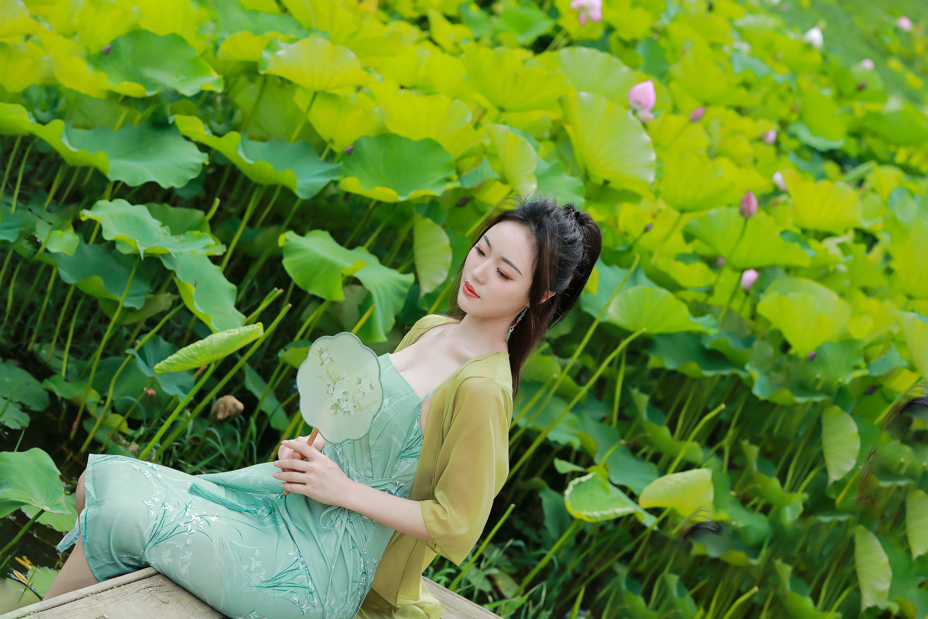 鱼儿 – 《绿荷新意》[26P]