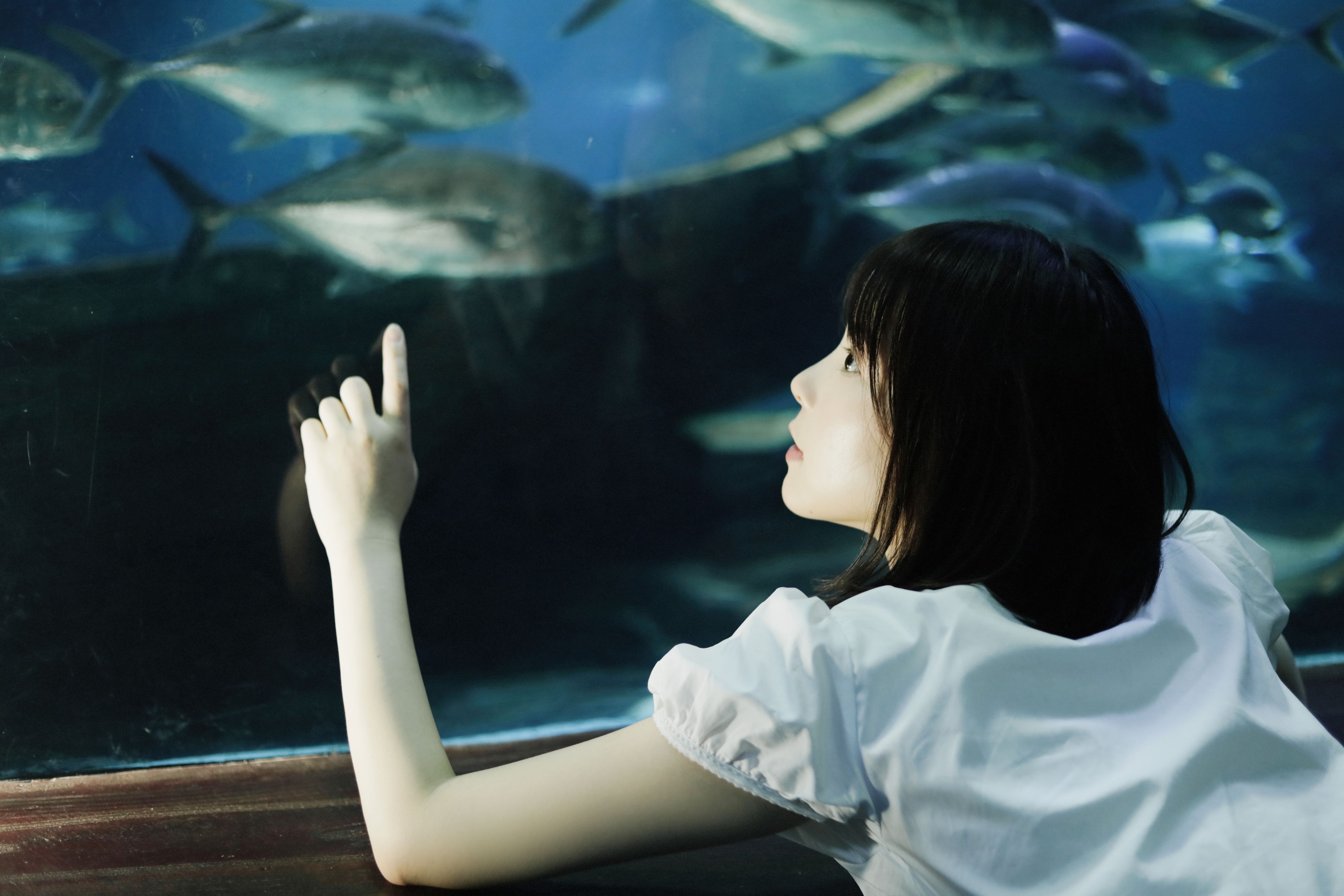 雨一颗 – 《lost in blue》[28P]