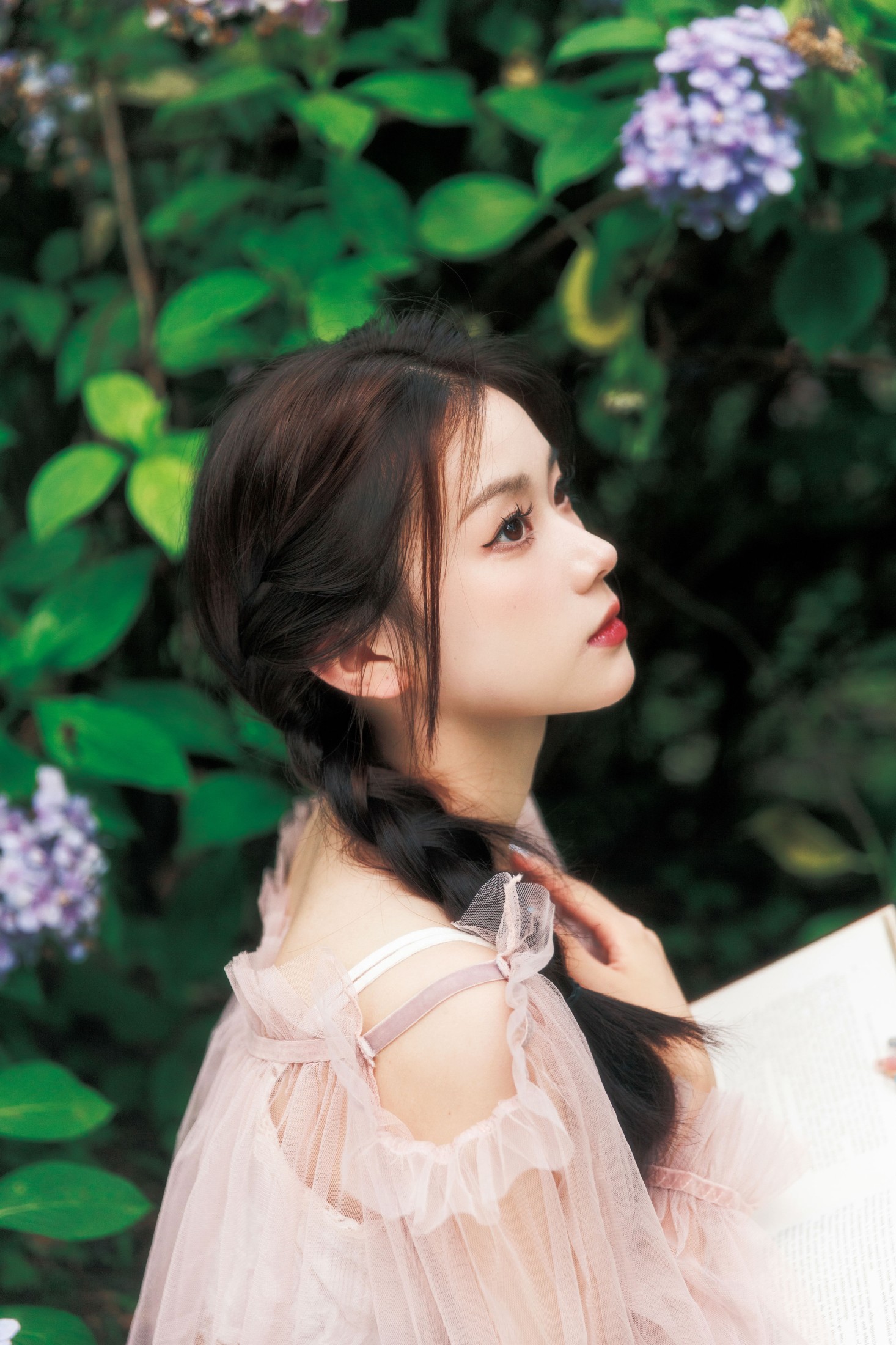 To小北 – 《花园里的夏天》[24P]