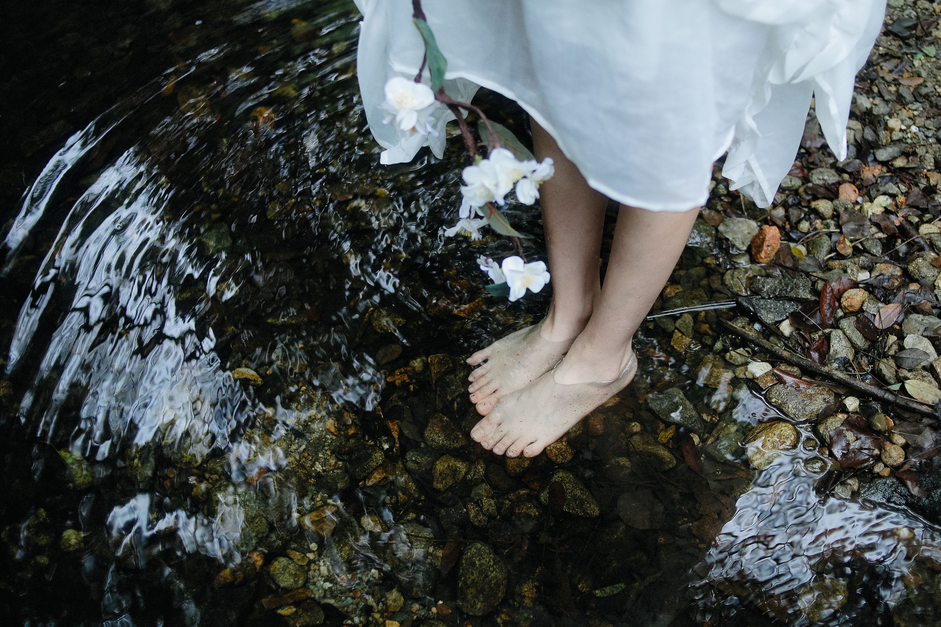 车车 – 《青山有思 白鹤忘机》[25P]