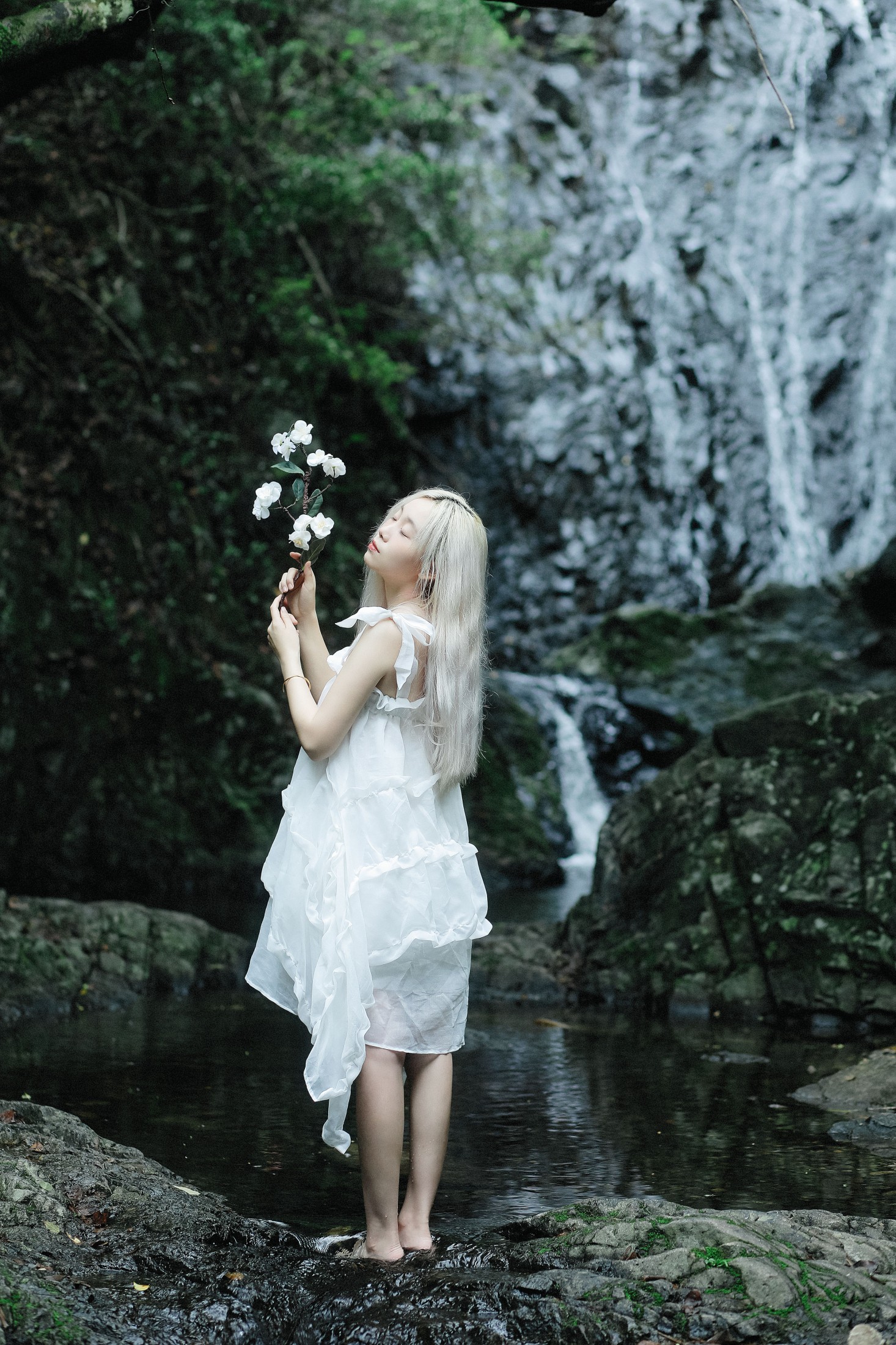 车车 – 《青山有思 白鹤忘机》[25P]