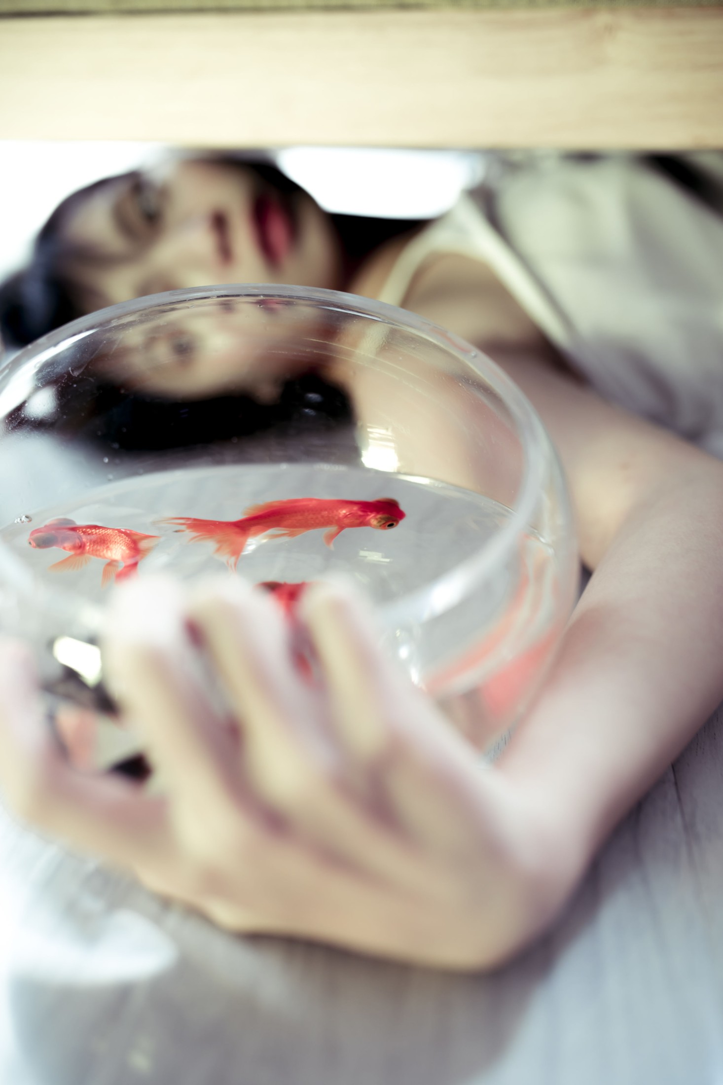 奈七 – 《游鱼美梦》[23P]