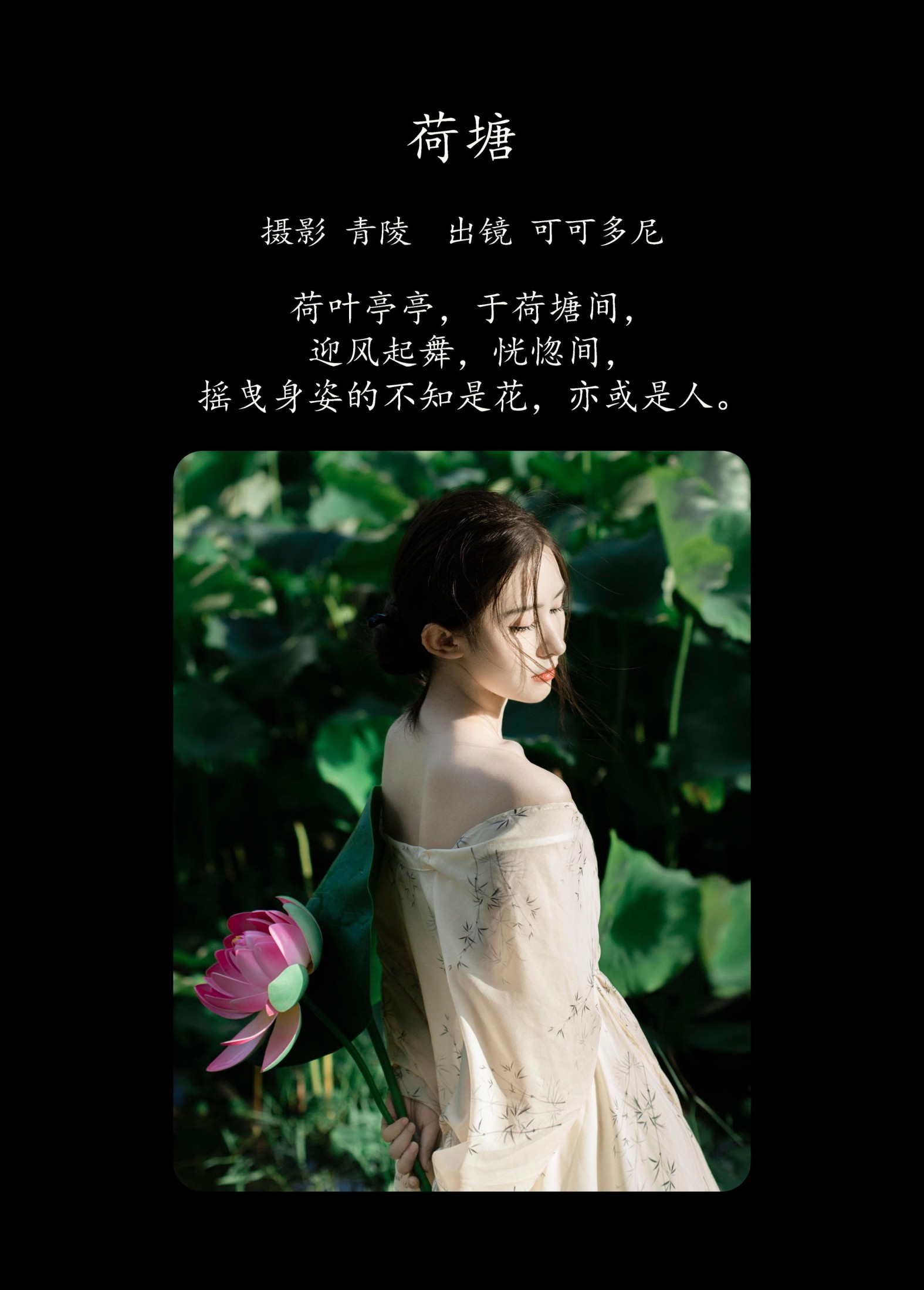 可可多尼 – 《荷塘》[28P]