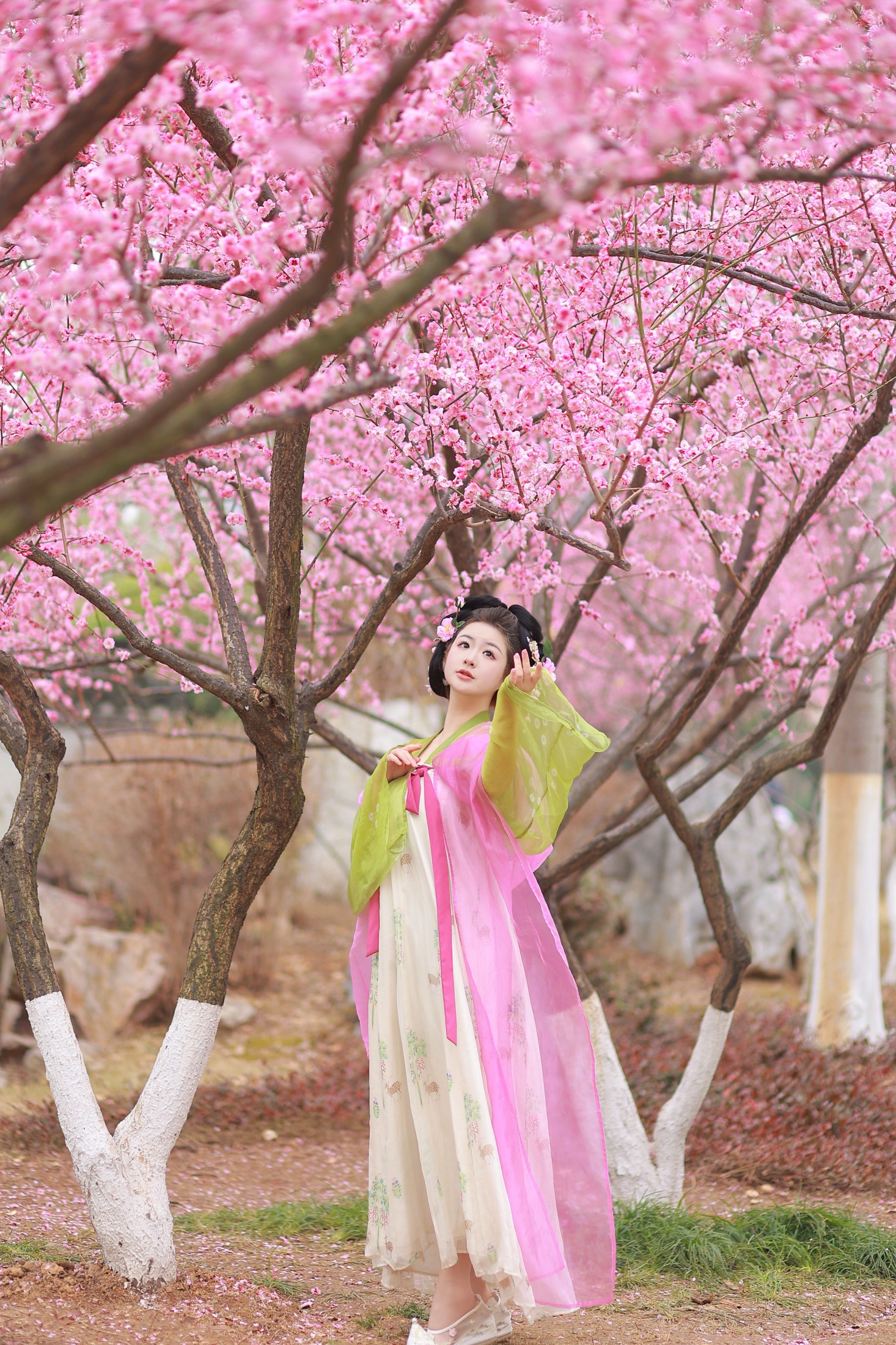 不可爱的禾禾喵 – 《赏梅》[28P]