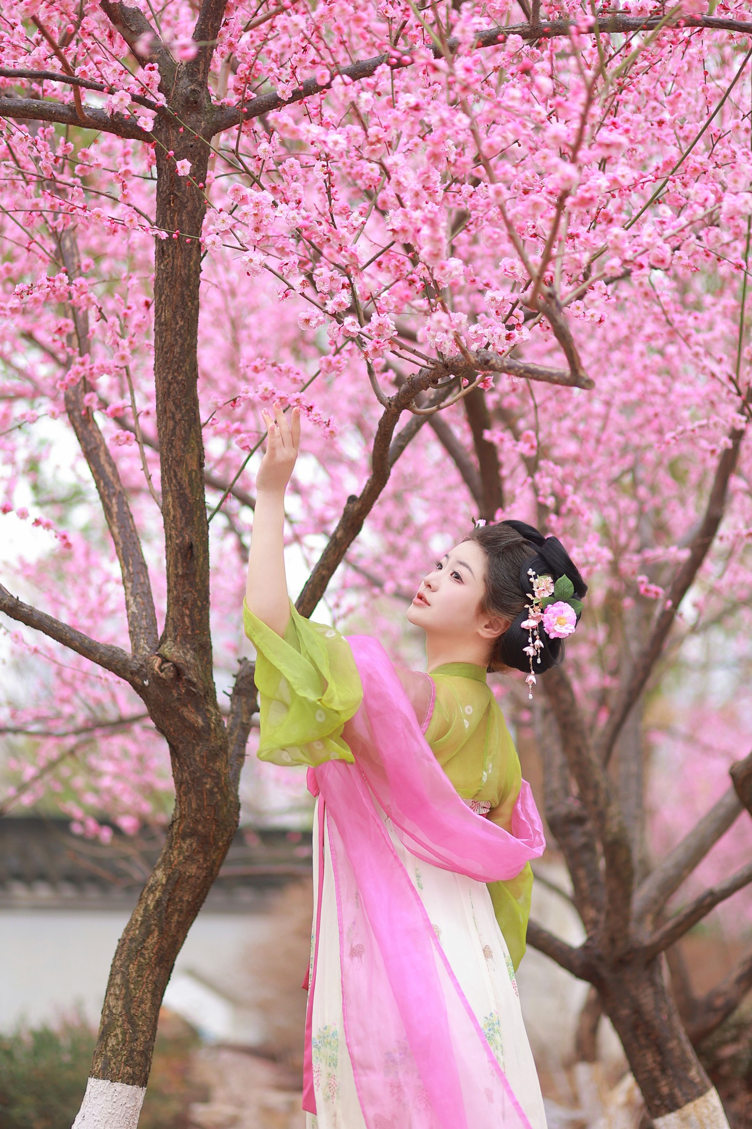 不可爱的禾禾喵 – 《赏梅》[28P]