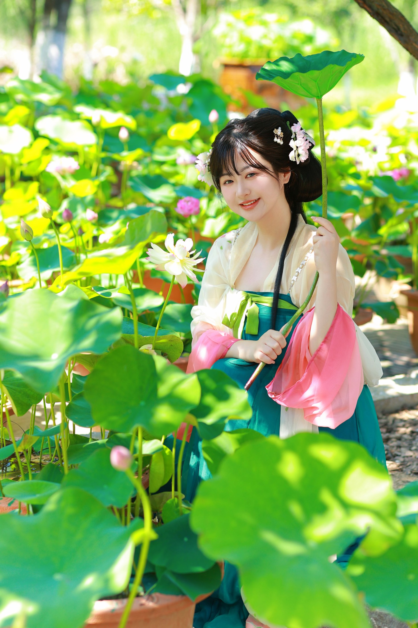 不可爱的禾禾喵 – 《风荷举》[30P]