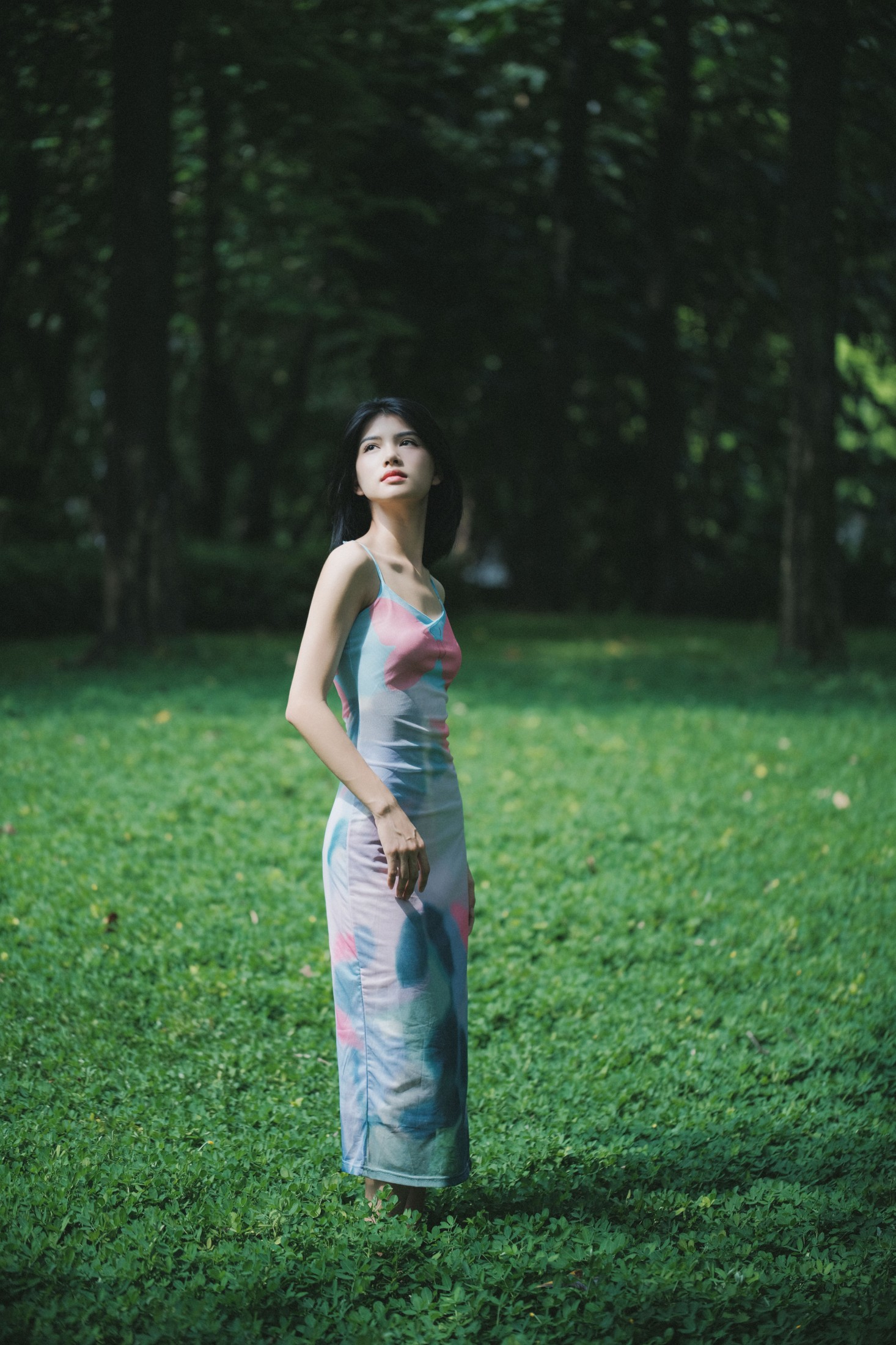 修自新 – 《蝶舞》[46P]