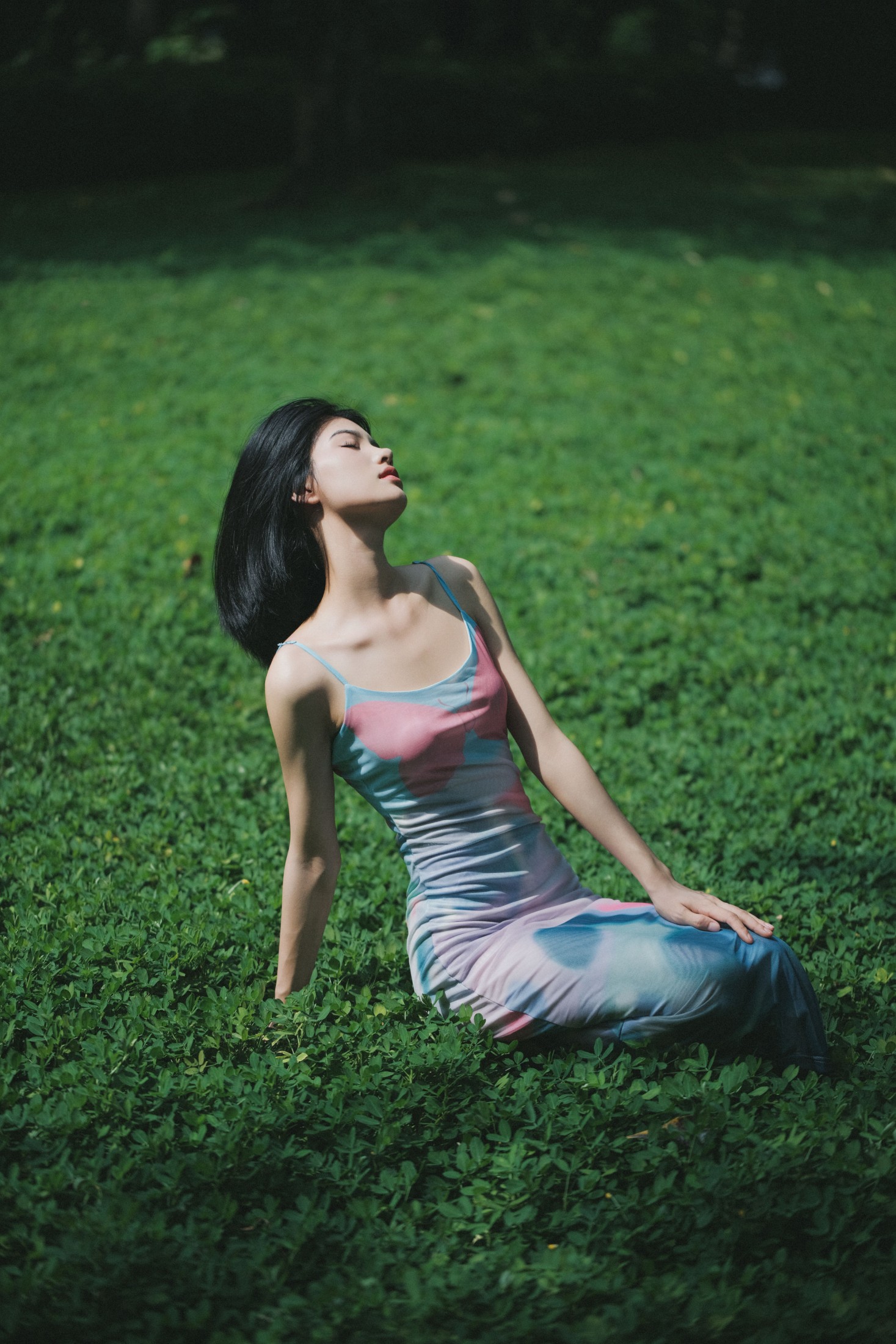 修自新 – 《蝶舞》[46P]