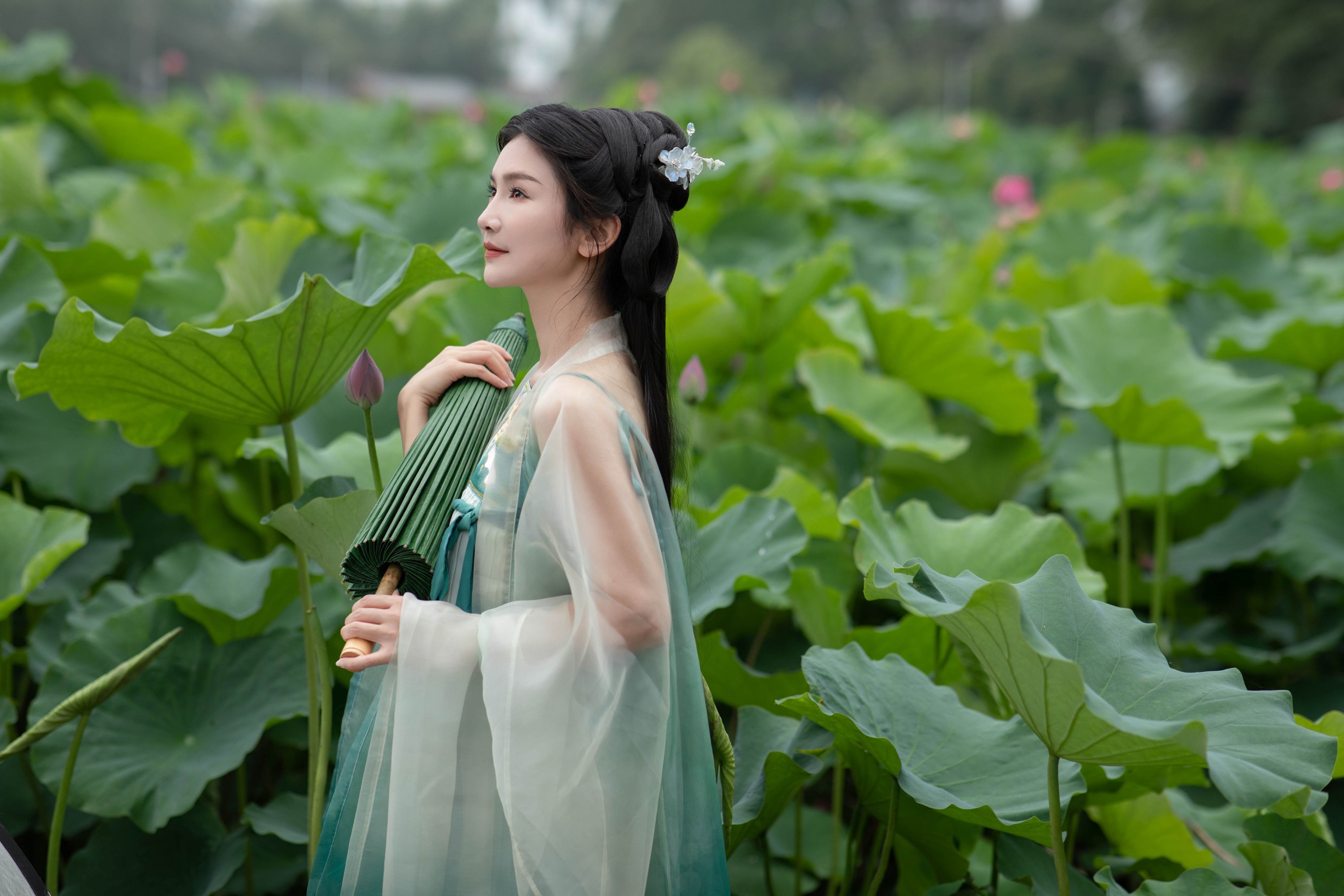 纪忆 – 《赏荷》[22P]