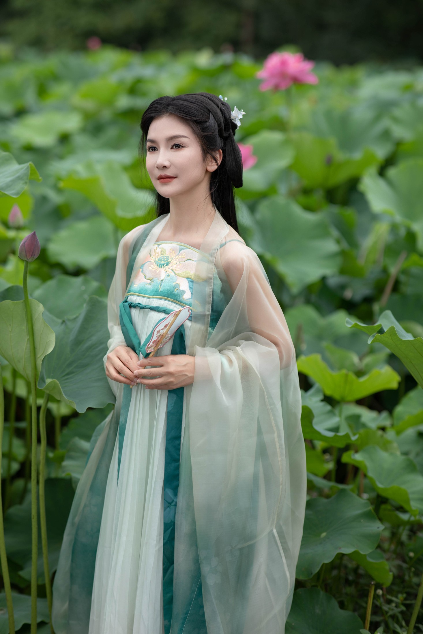 纪忆 – 《赏荷》[22P]