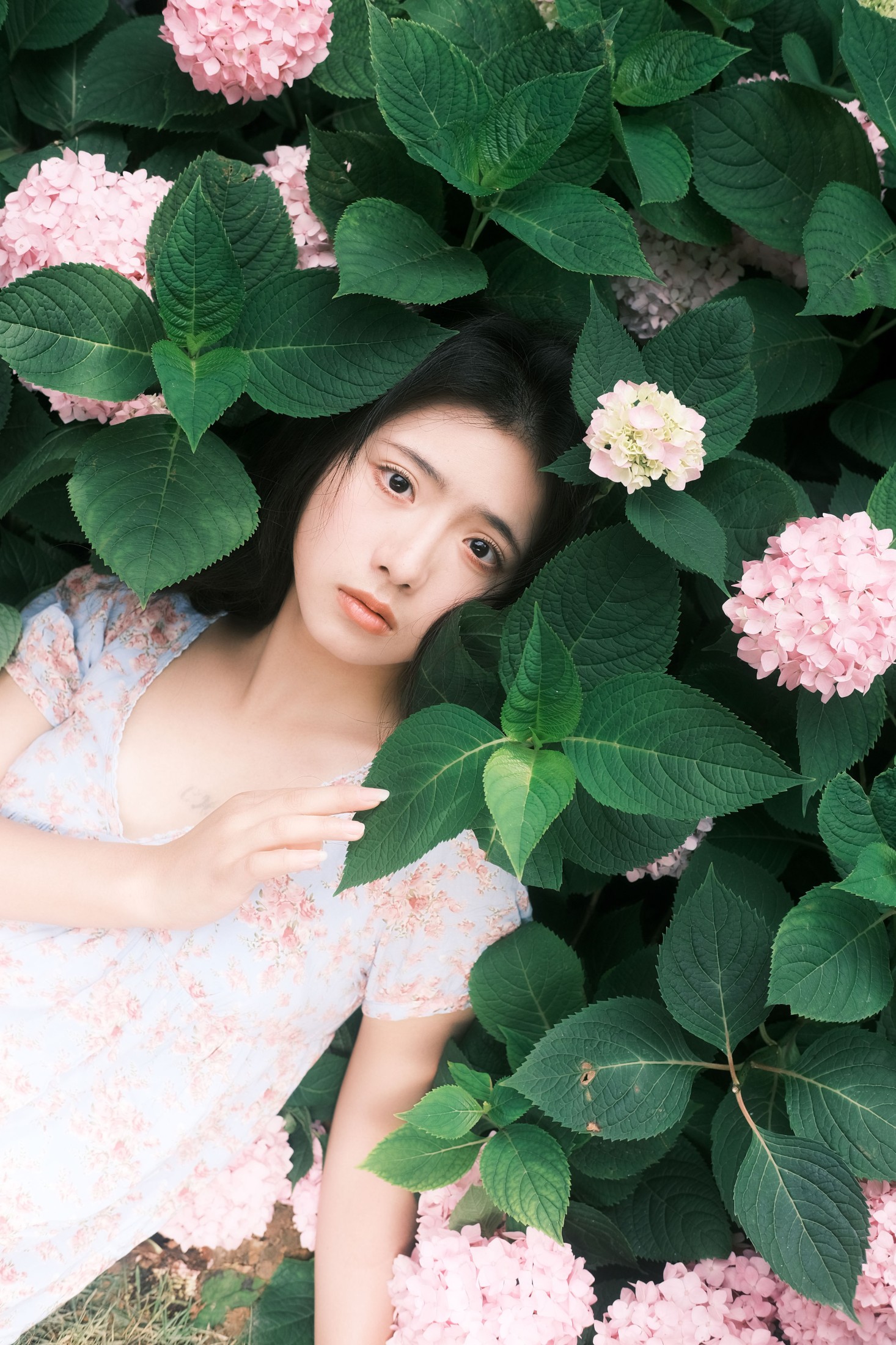 木柚柚 – 《日光充盈》[34P]