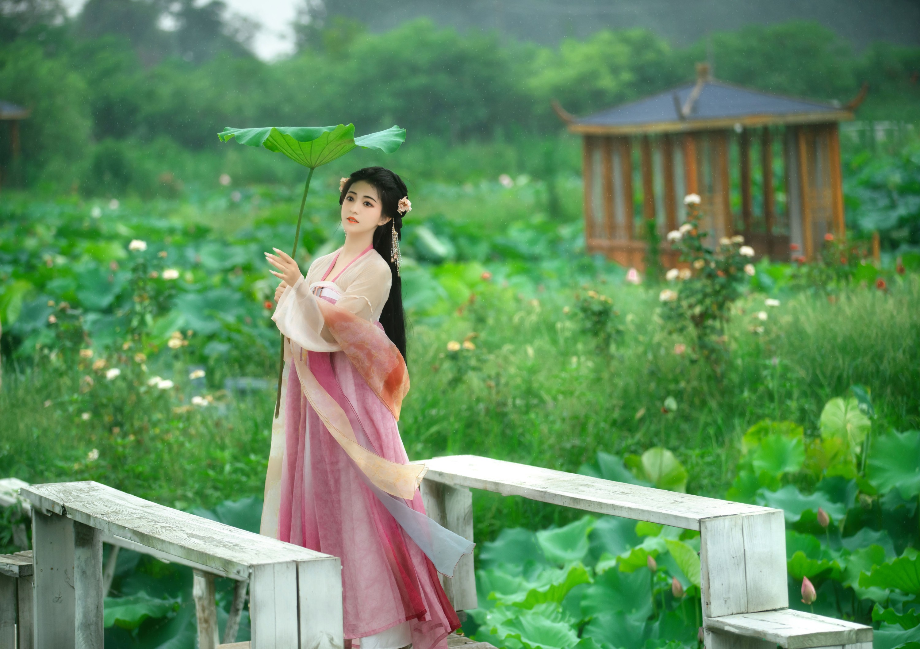 晚晚 – 《采莲曲》[53P]