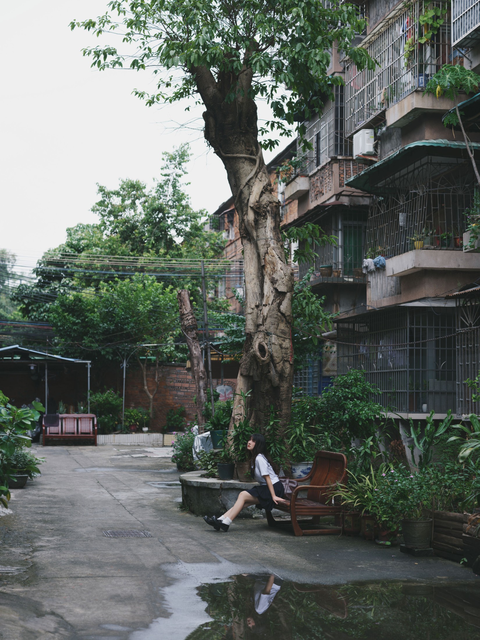 我变成猪了你负责吗 – 《老街与猫》[39P]