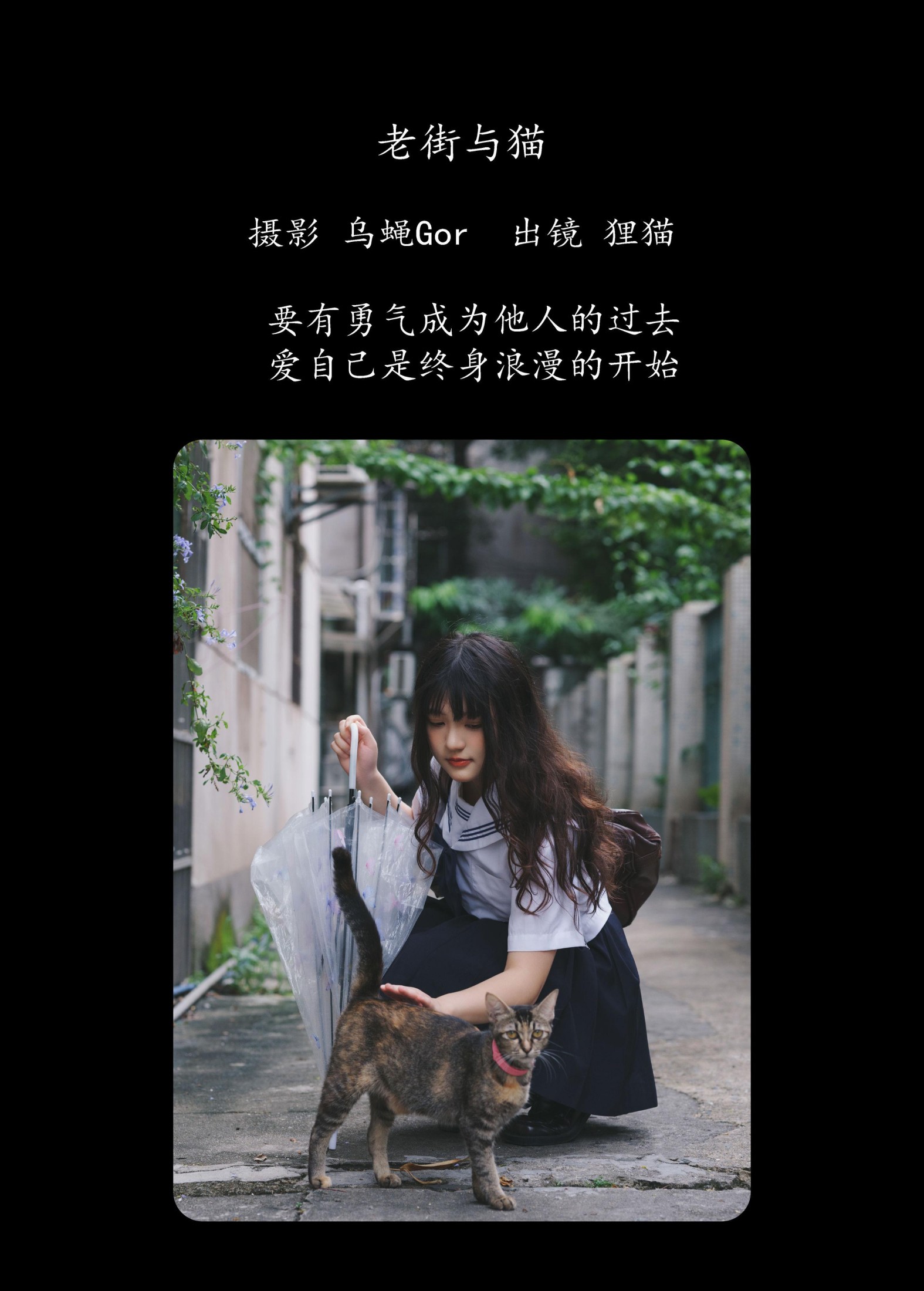 我变成猪了你负责吗 – 《老街与猫》[39P]