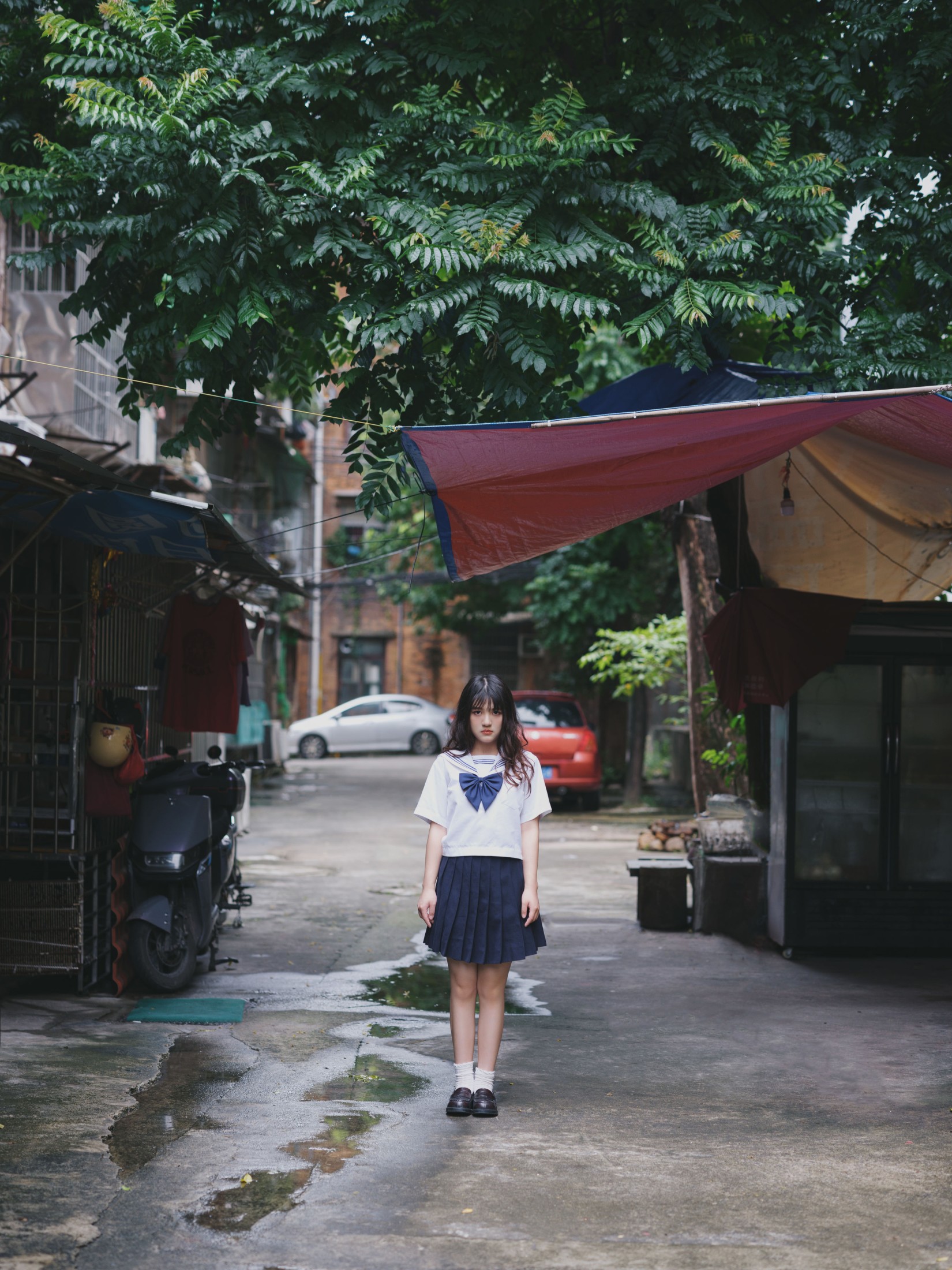 我变成猪了你负责吗 – 《老街与猫》[39P]