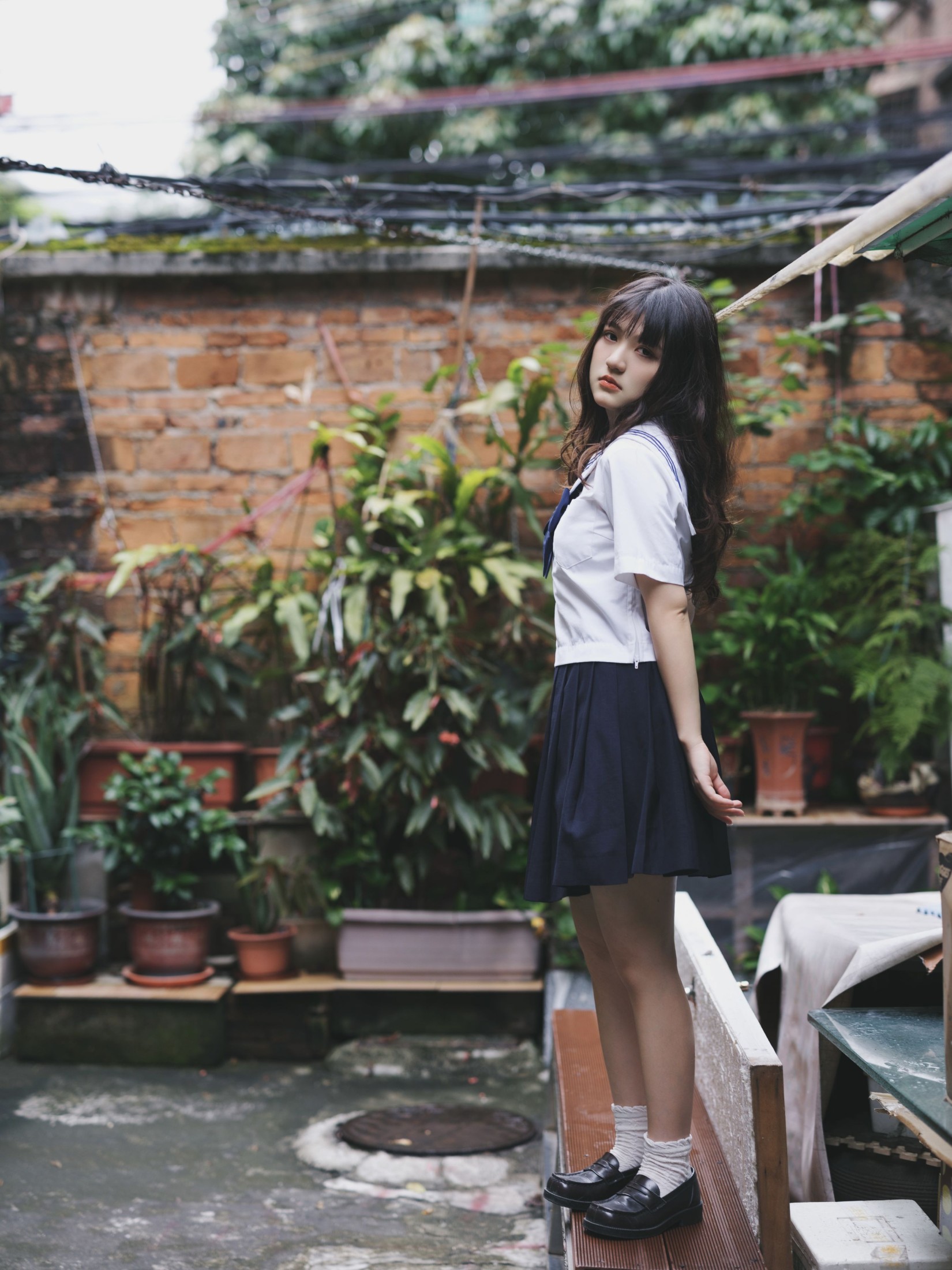 我变成猪了你负责吗 – 《老街与猫》[39P]