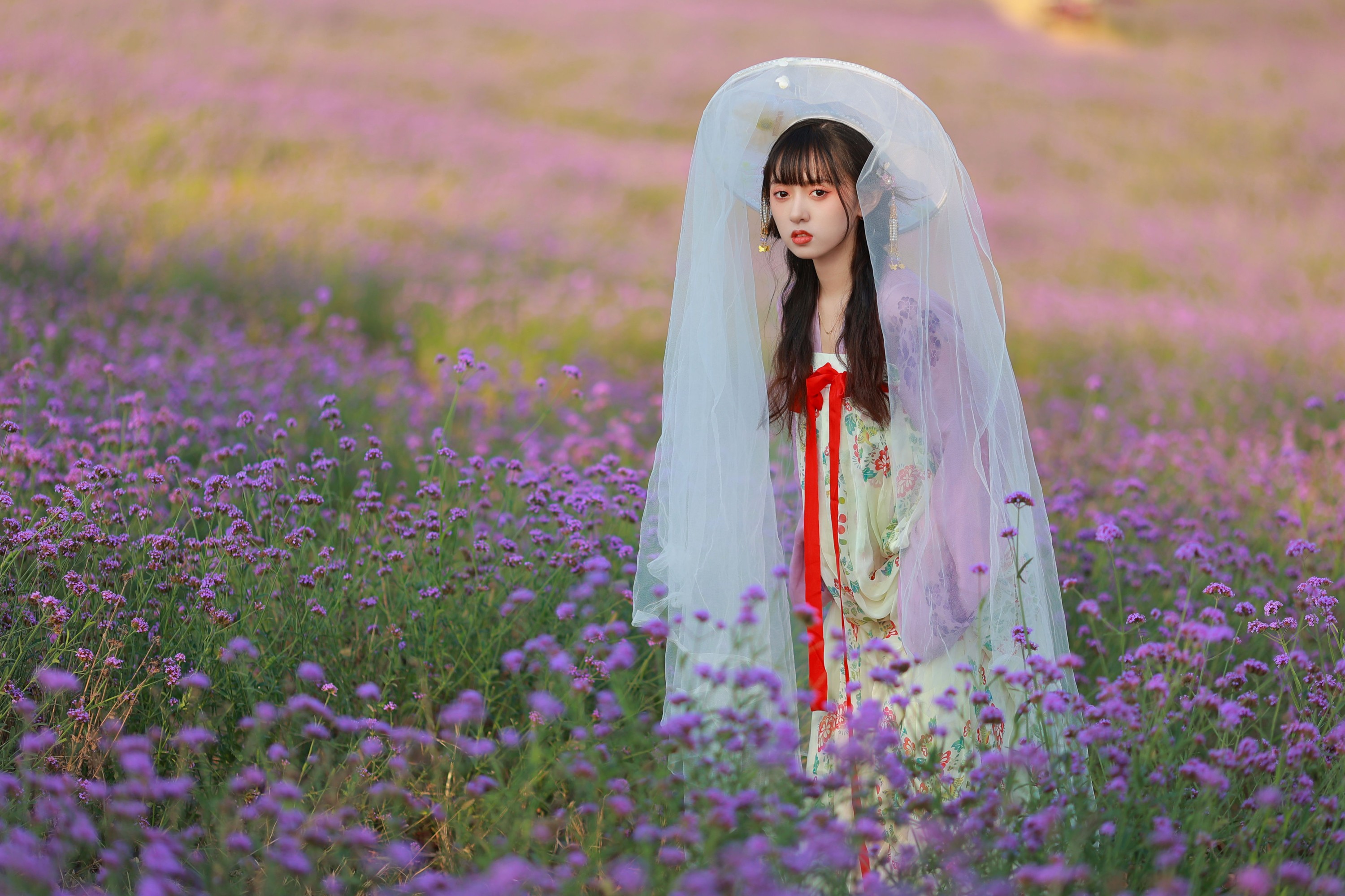 锘锘吃糯米 – 《薰衣草少女》[23P]