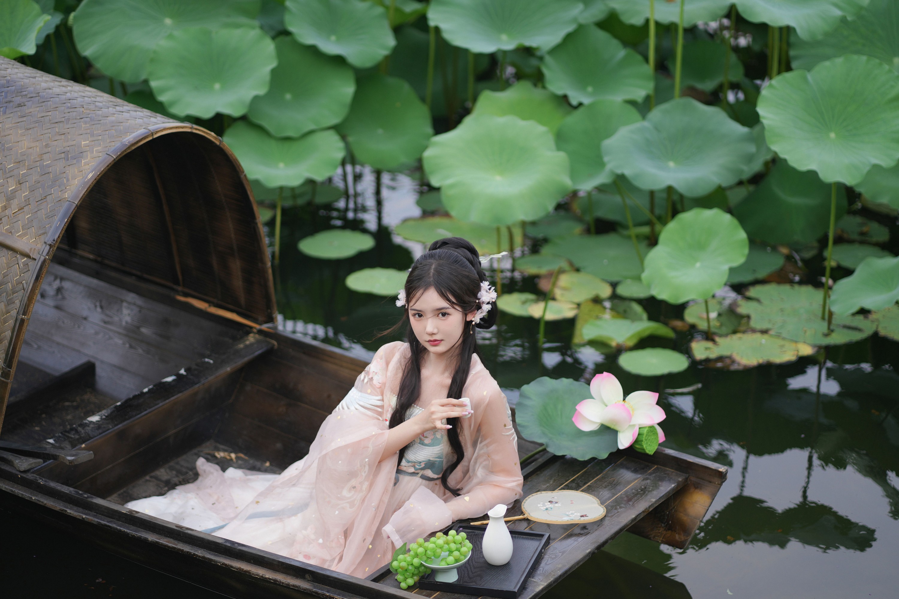 是鱼干啊～ – 《水面清圆一一风荷举》[24P]