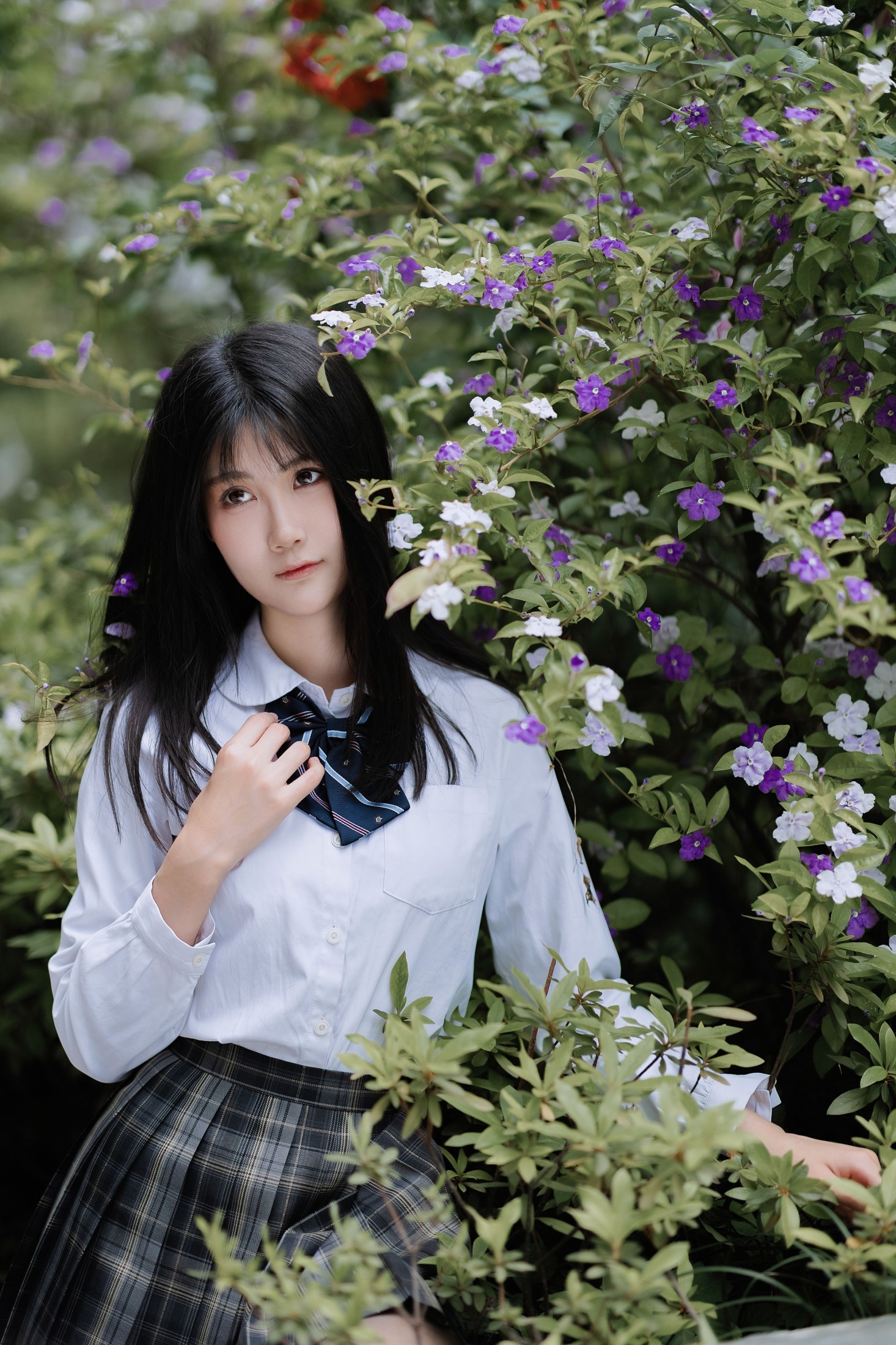 生生煎包 – 《蔷薇开放的季节》[63P]