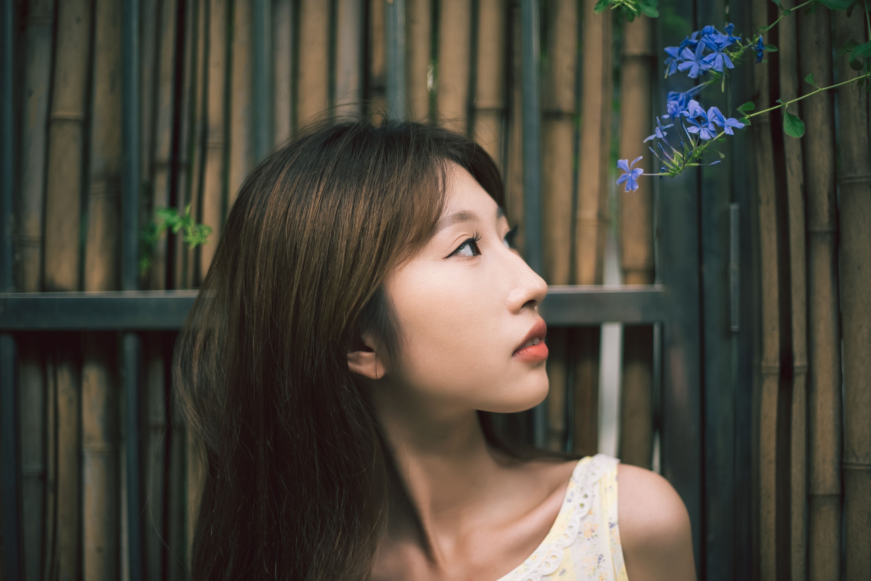 咚吱 – 《生如夏花》[21P]