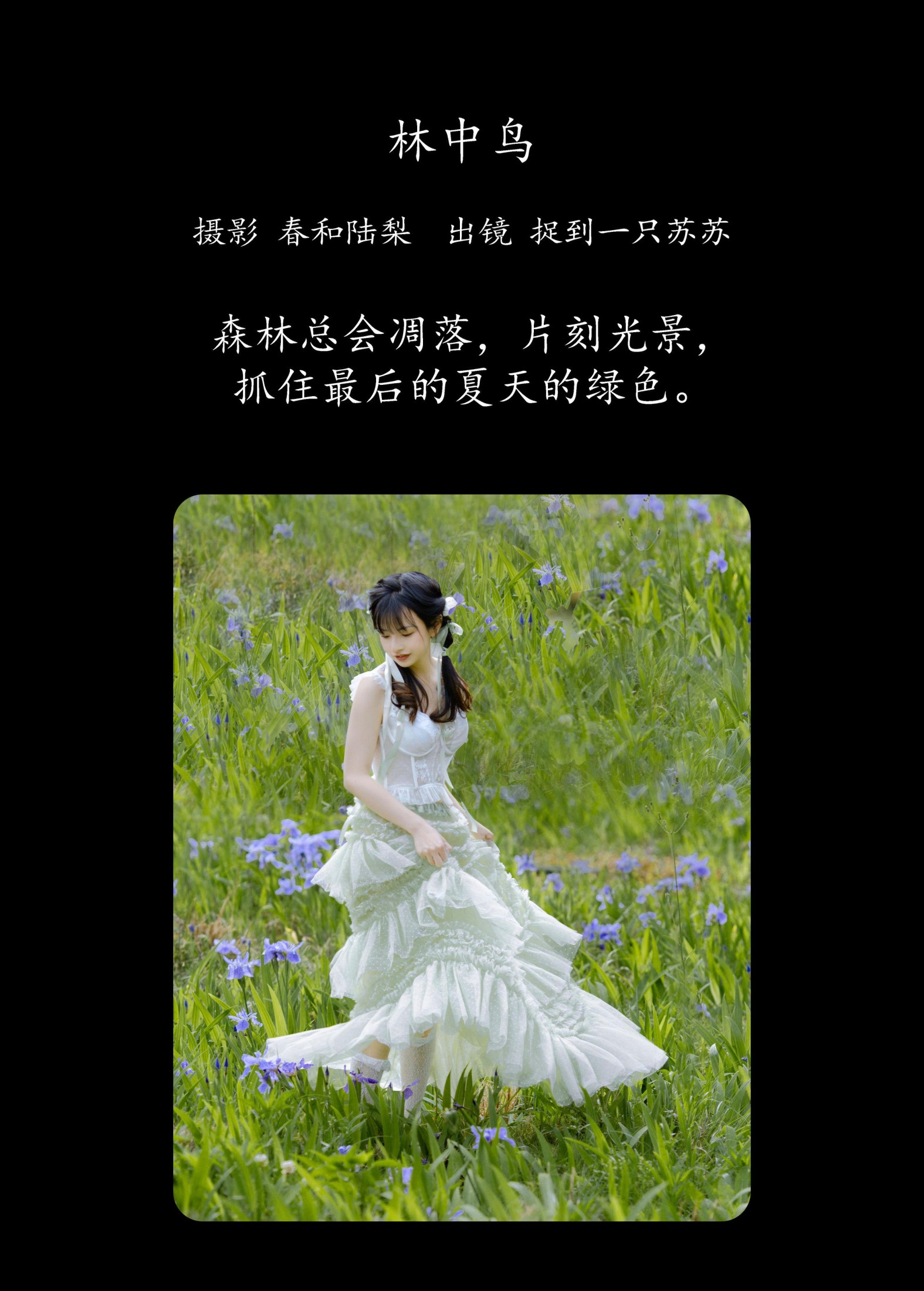 捉到一只苏苏 – 《林中鸟》[21P]