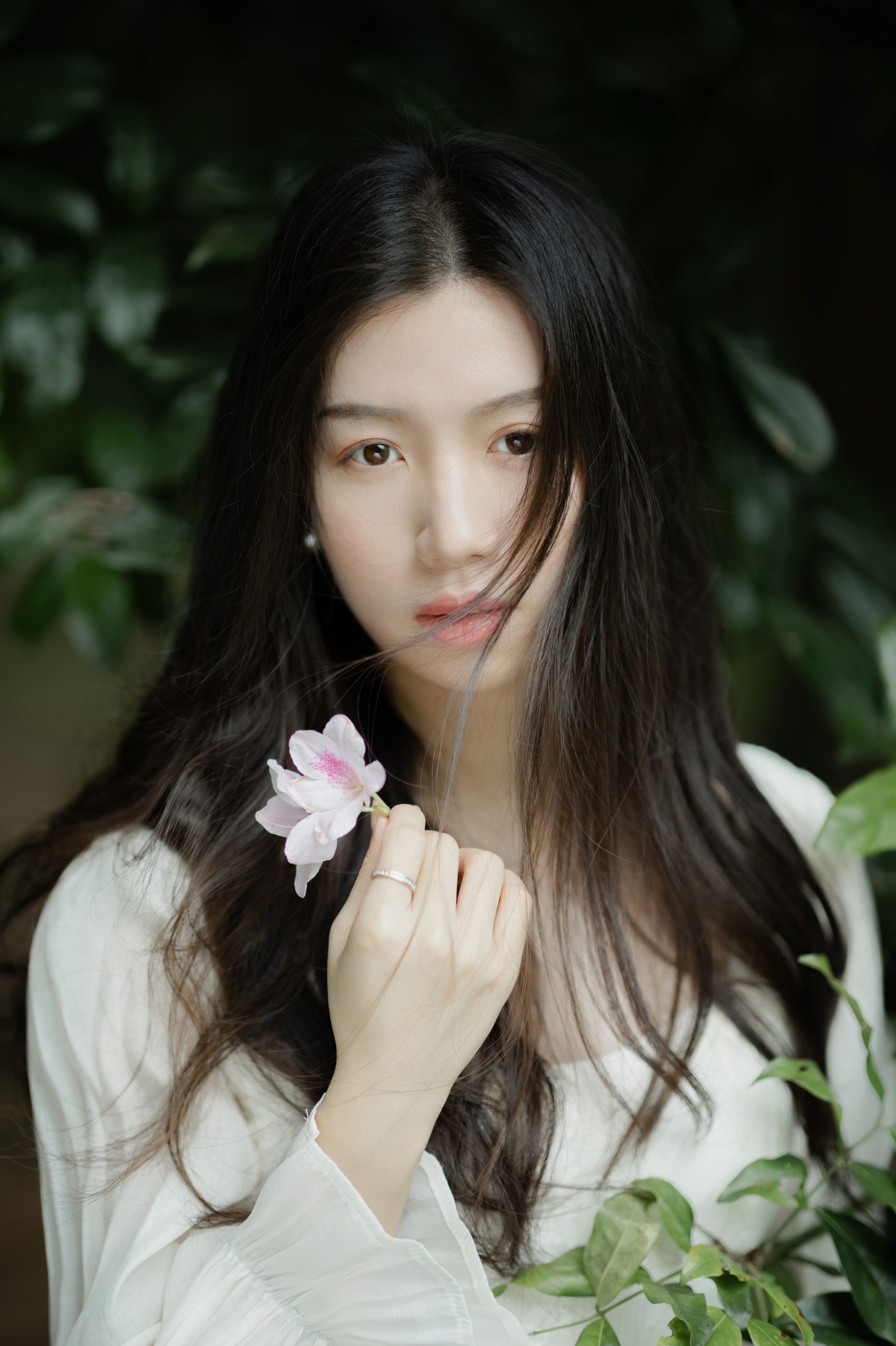 Cynthia – 《森之语》[24P]