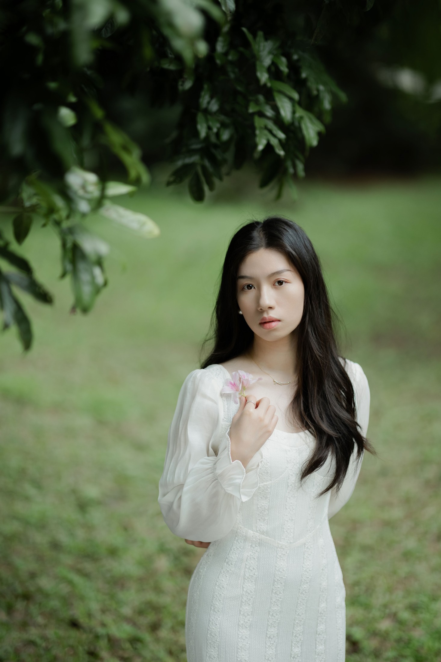 Cynthia – 《森之语》[24P]