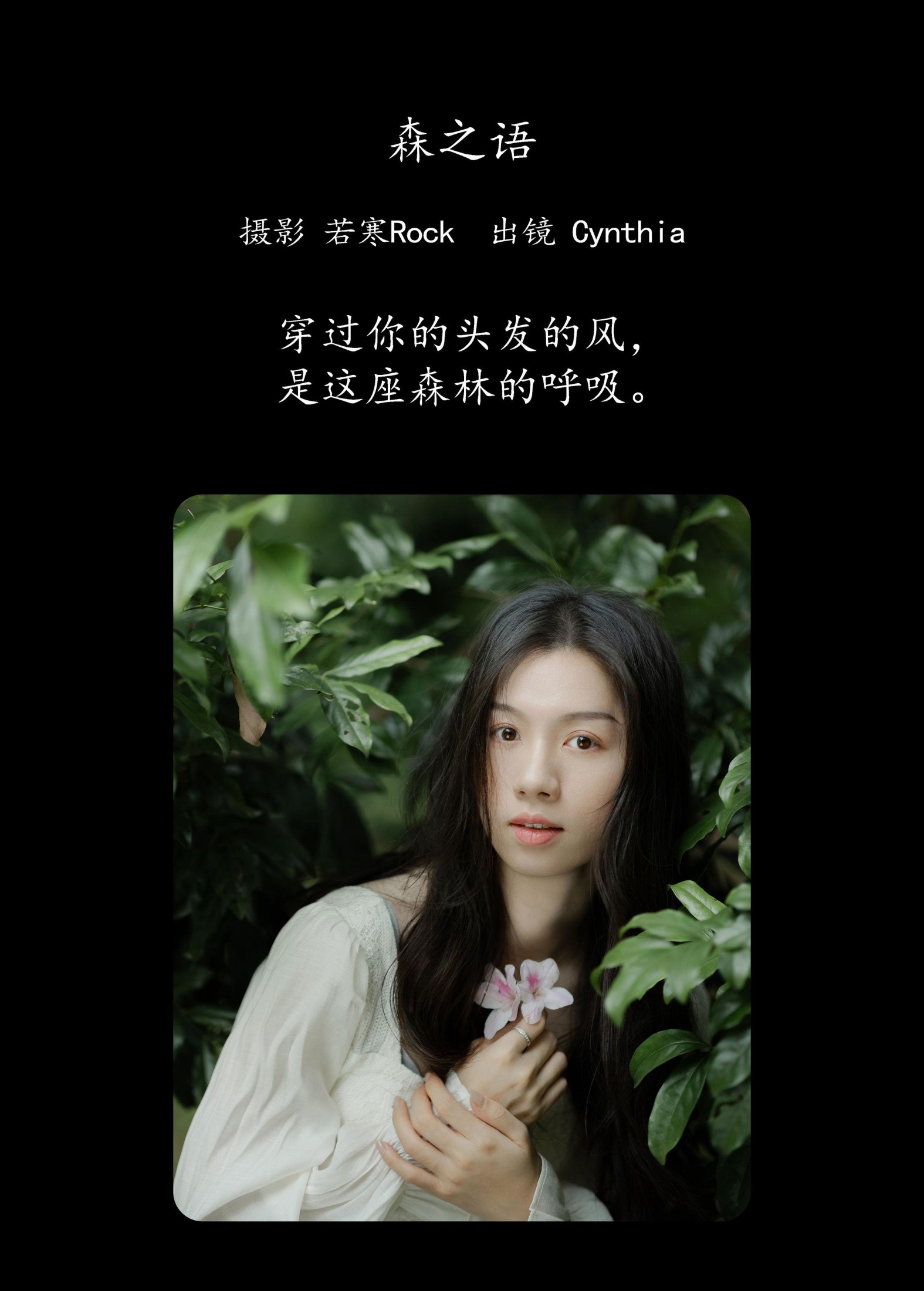 Cynthia – 《森之语》[24P]