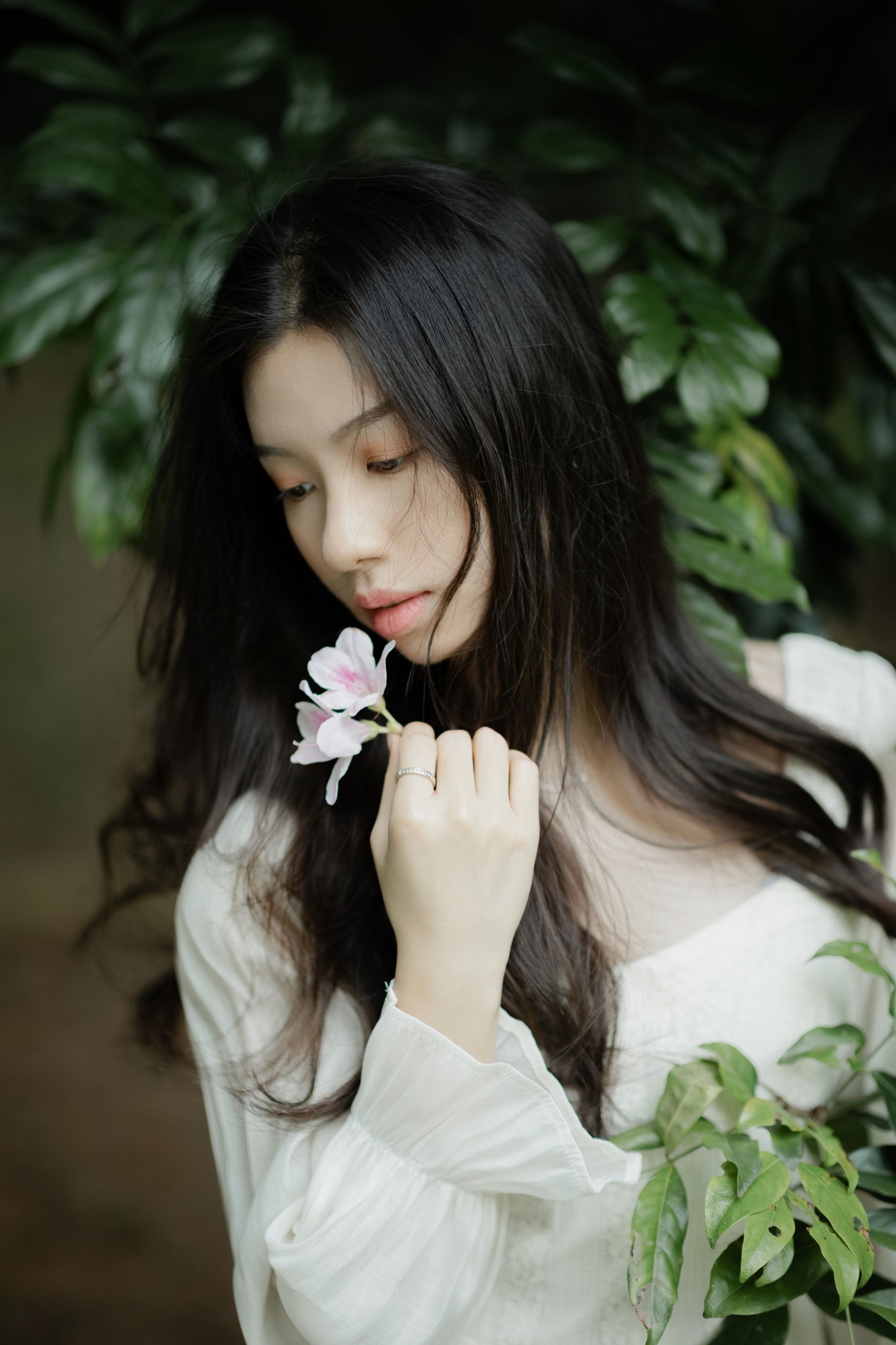 Cynthia – 《森之语》[24P]