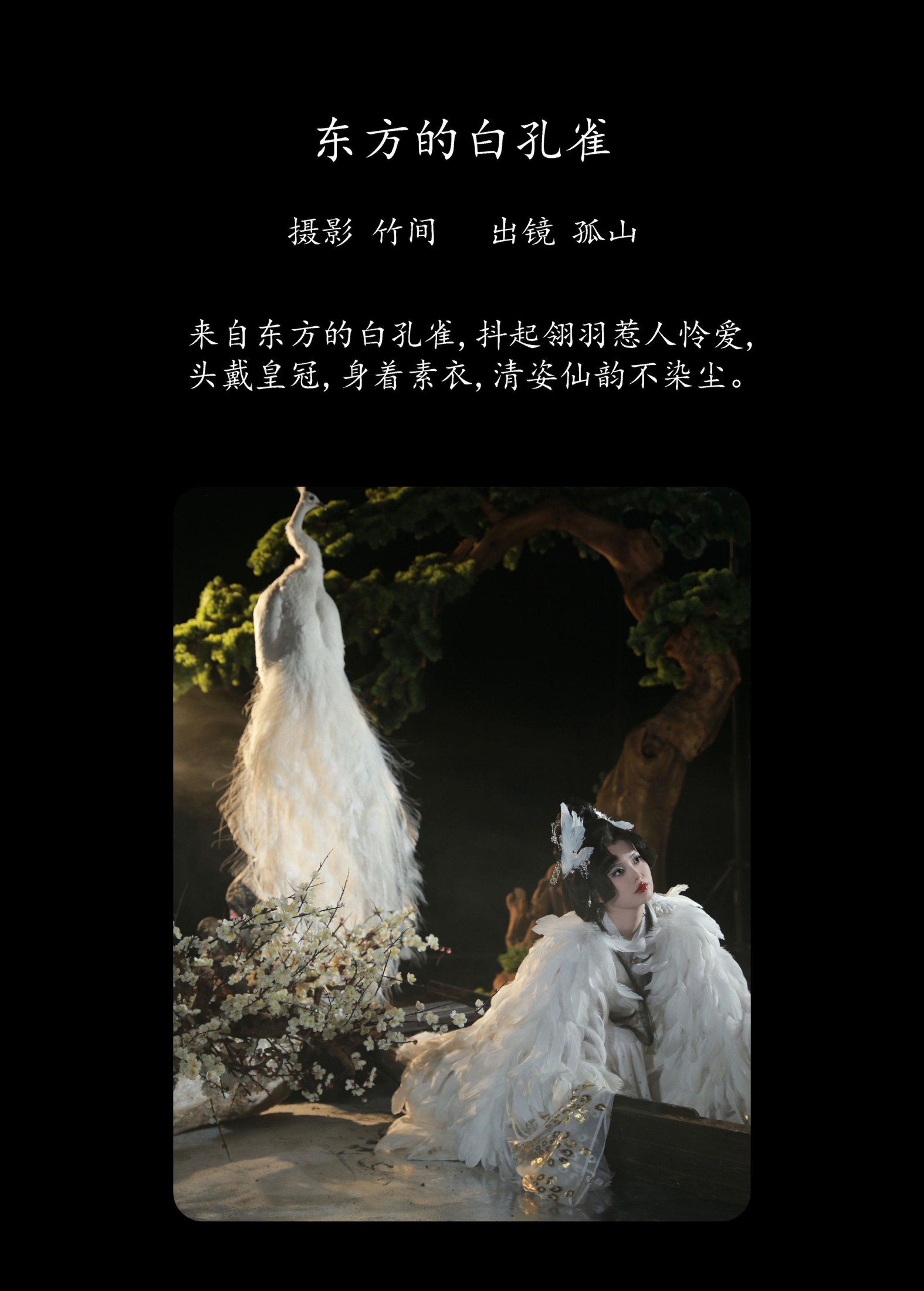 遇孤山 – 《东方的白孔雀》[30P]