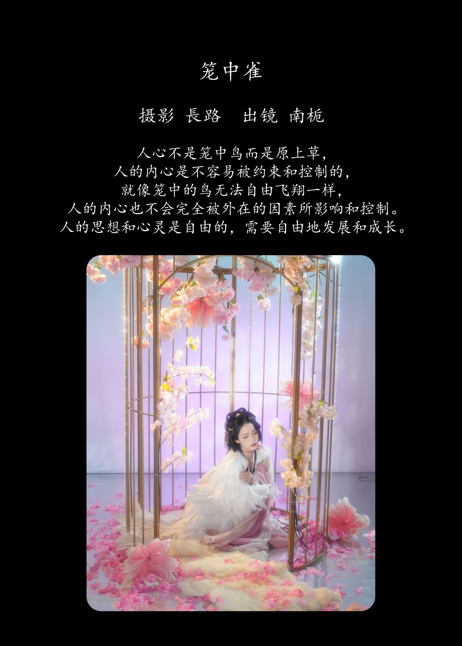 南栀 – 《笼中雀》[20P]