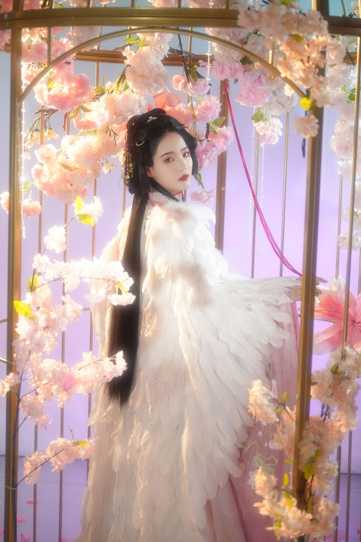 南栀 – 《笼中雀》[20P]