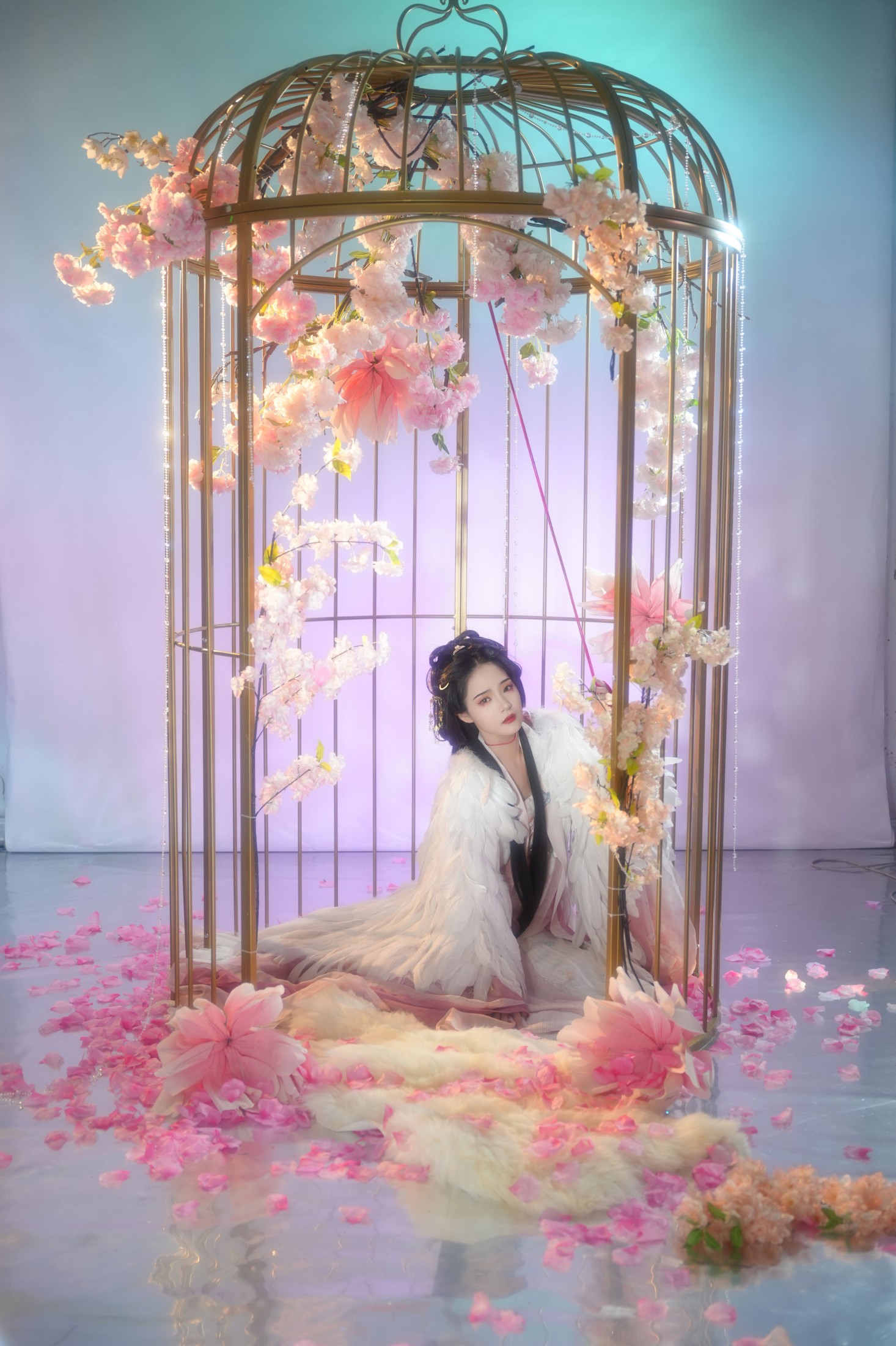 南栀 – 《笼中雀》[20P]