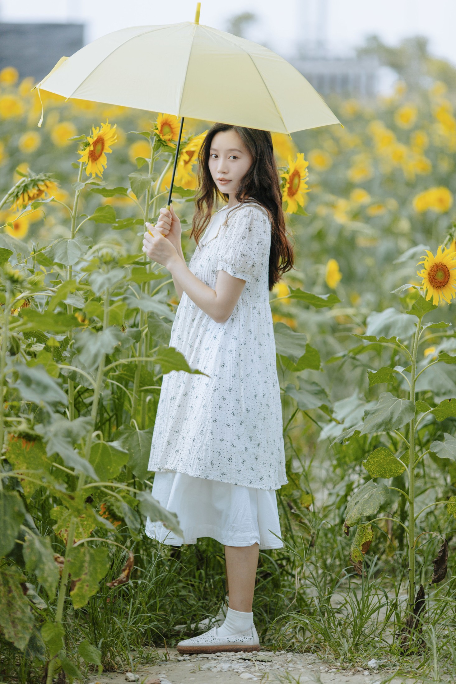 绿豆 – 《打碎了一片艳阳》[24P]